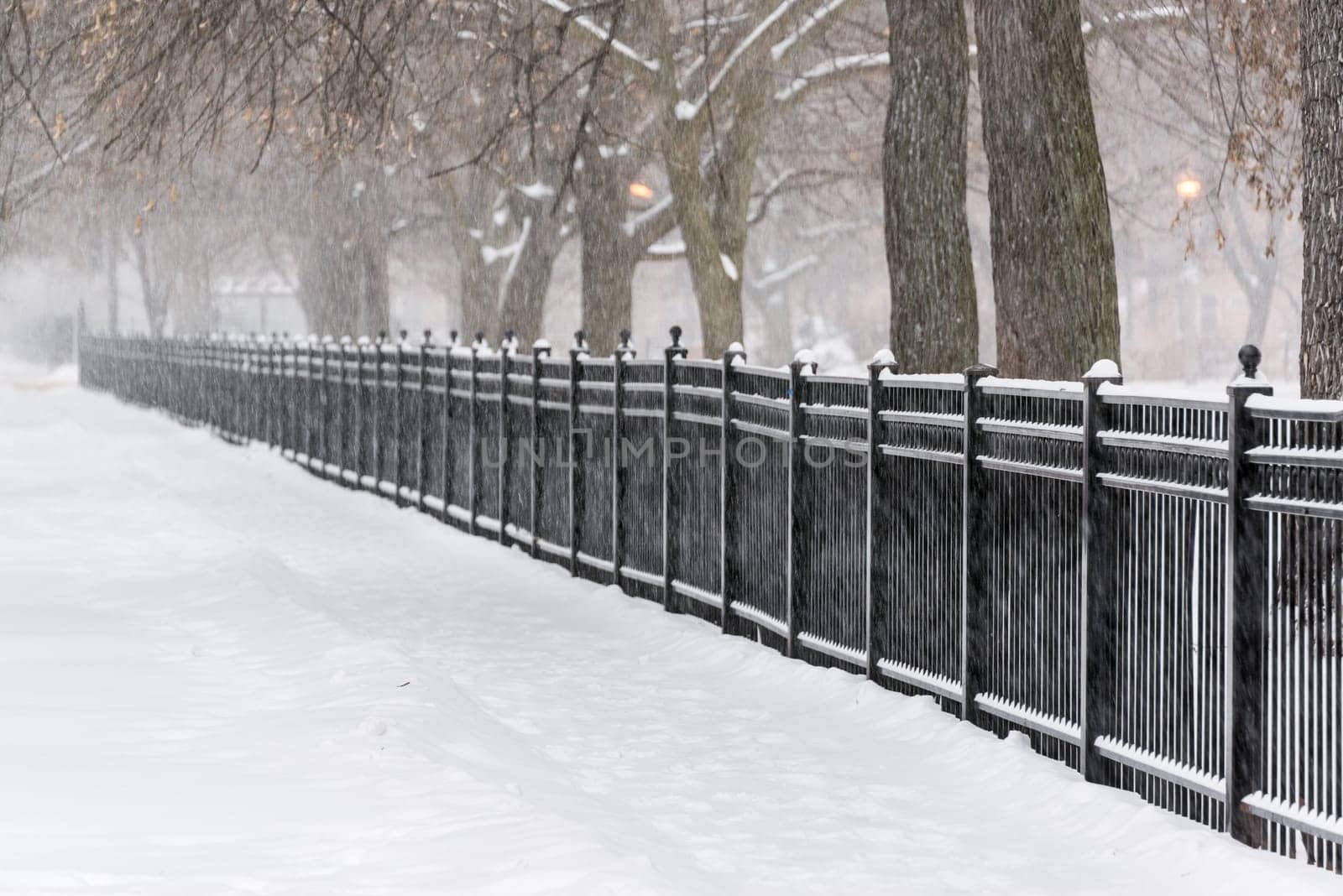 Snow storm in a park in Chicago