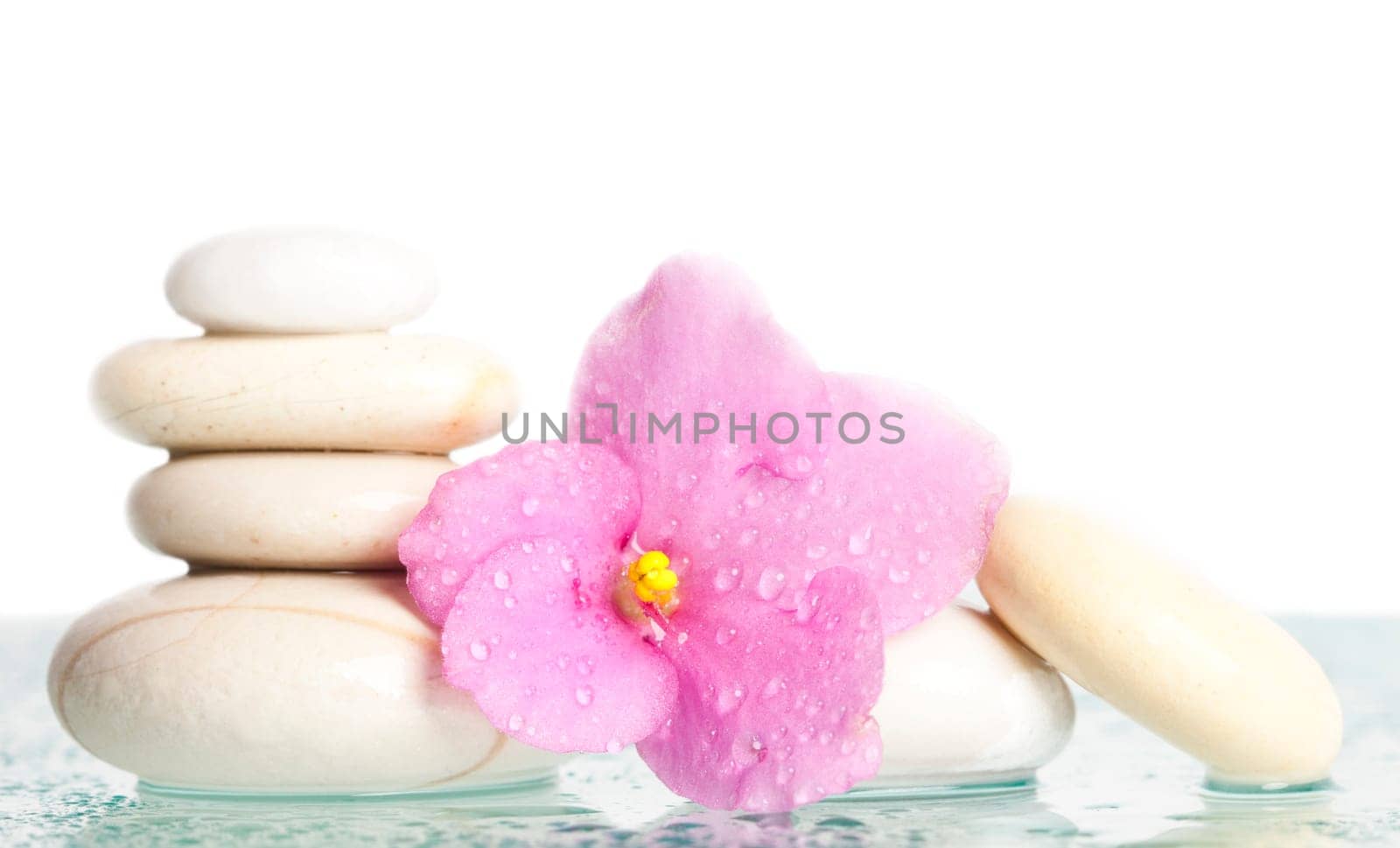 Spa stones and pink flower on white background