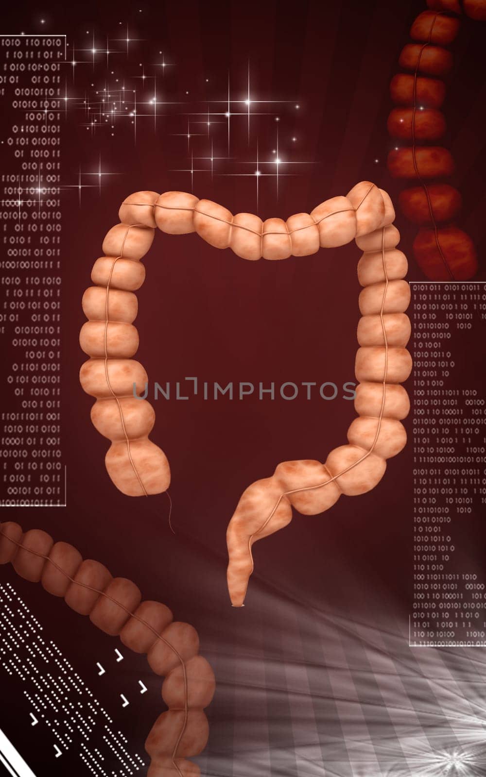 Digital illustration of Intestine in colour background