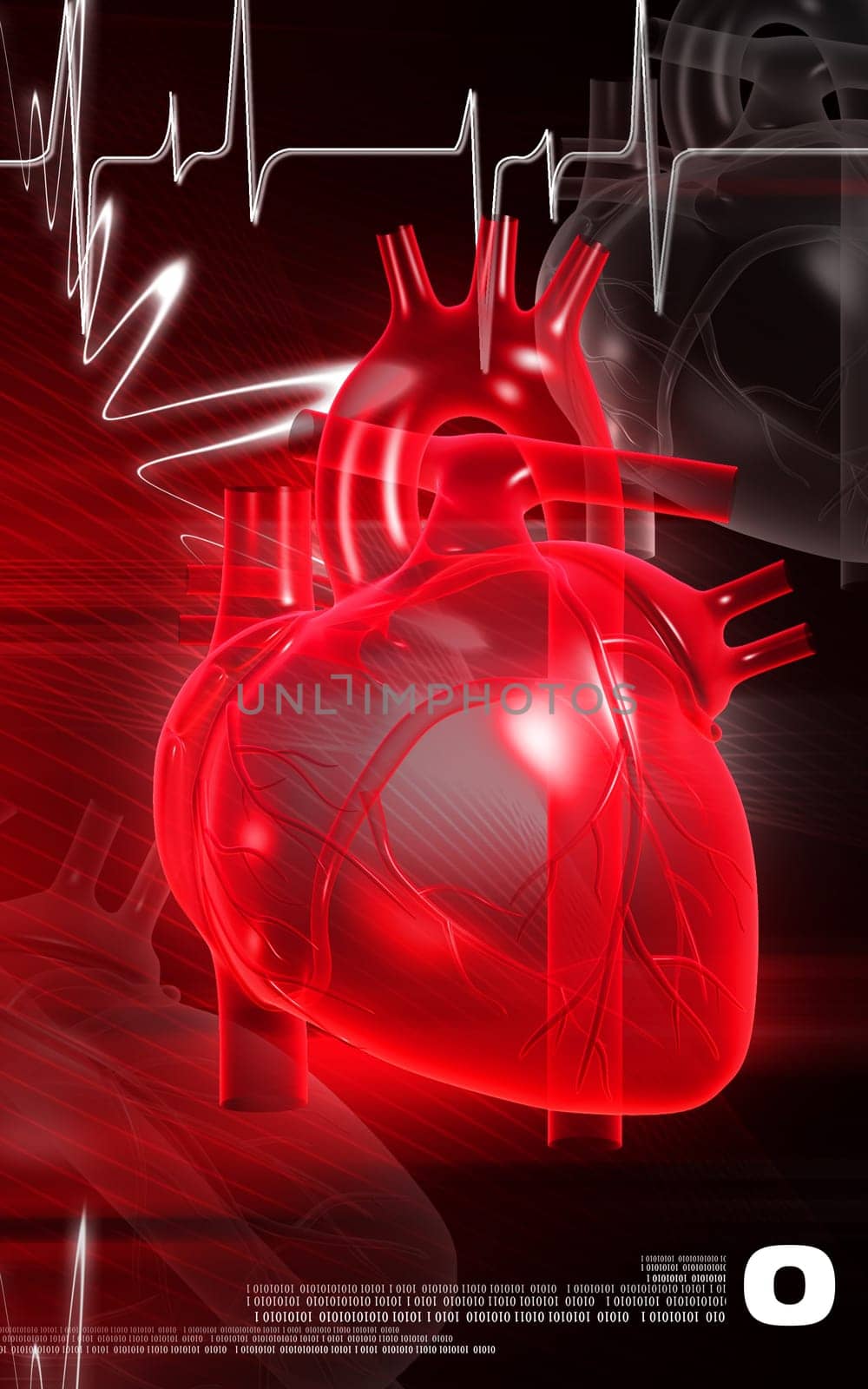 Digital illustration of heart in colour background