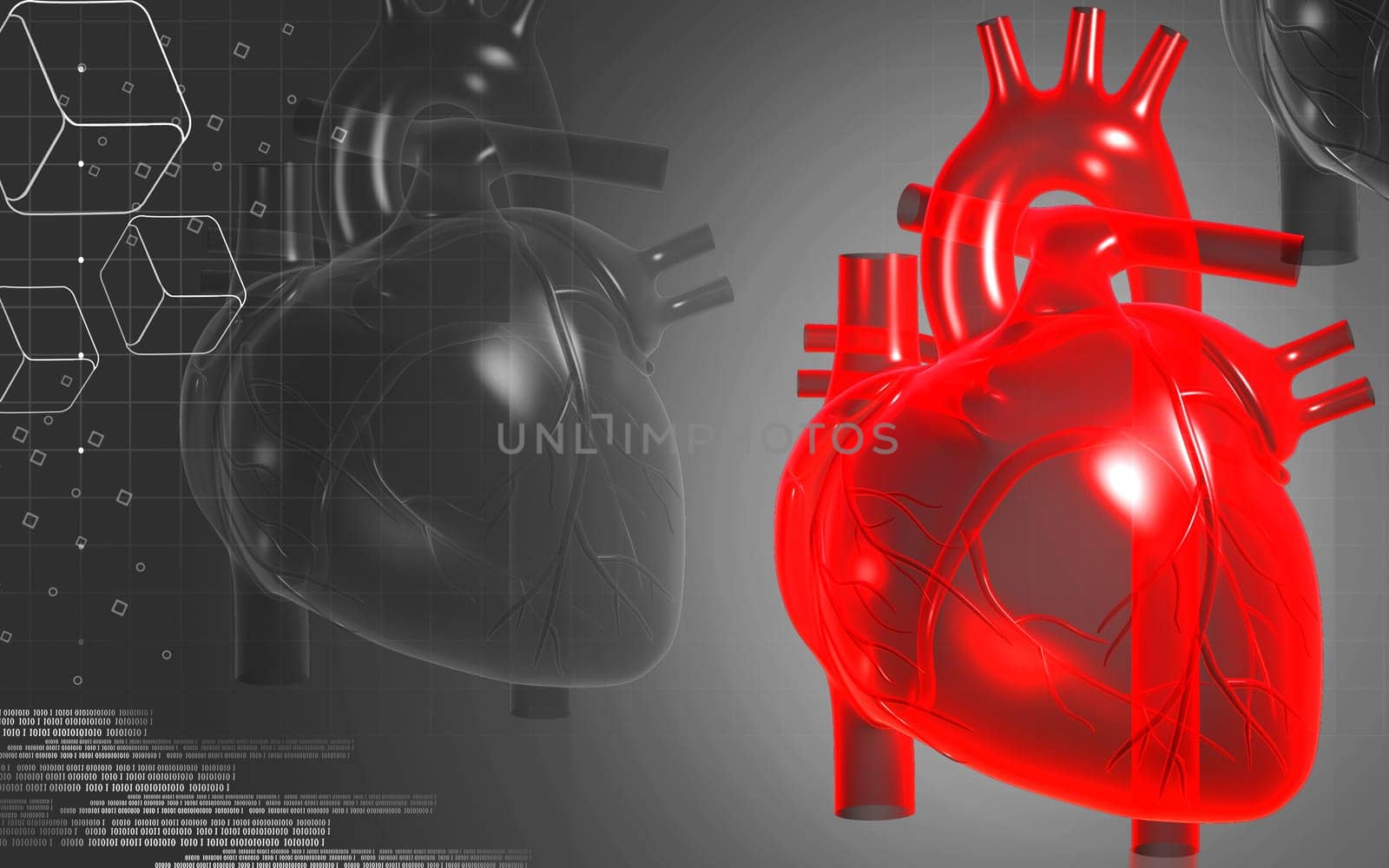 Digital illustration of heart in colour background