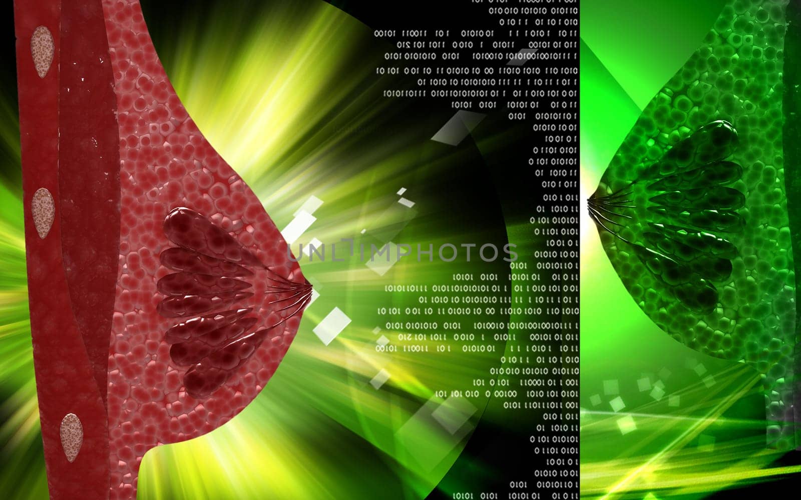 Digital illustration of breast in colour background