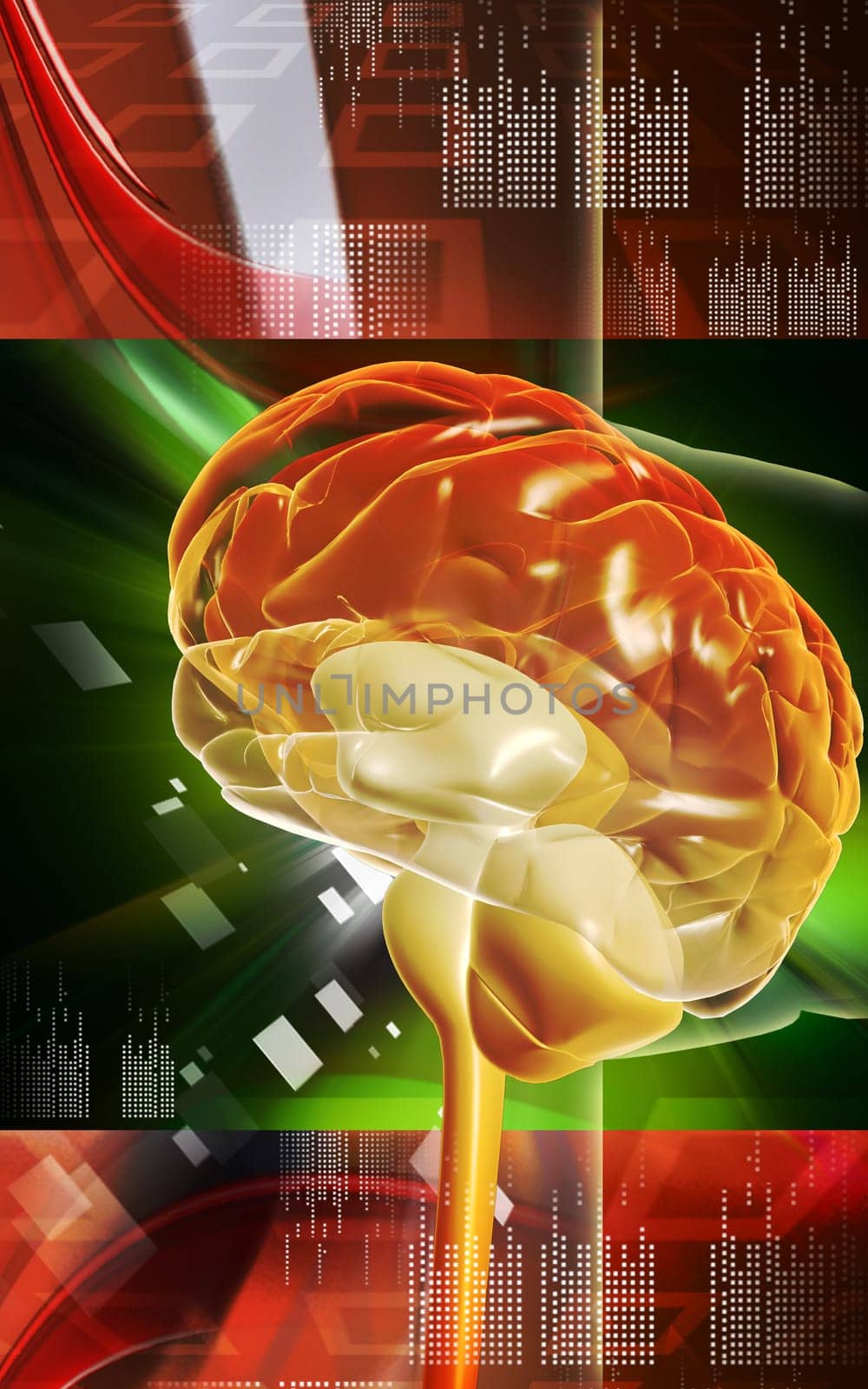 Digital illustration of brain in colour background
