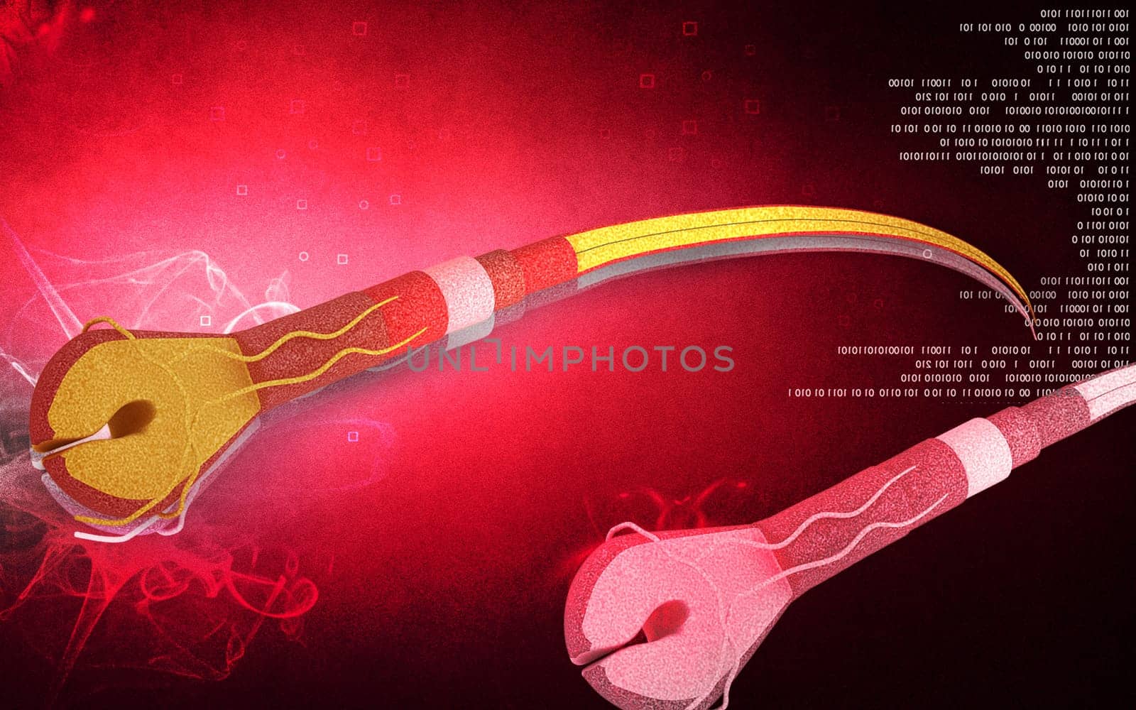 Digital illustration of Human hair structure anatomy in colour background