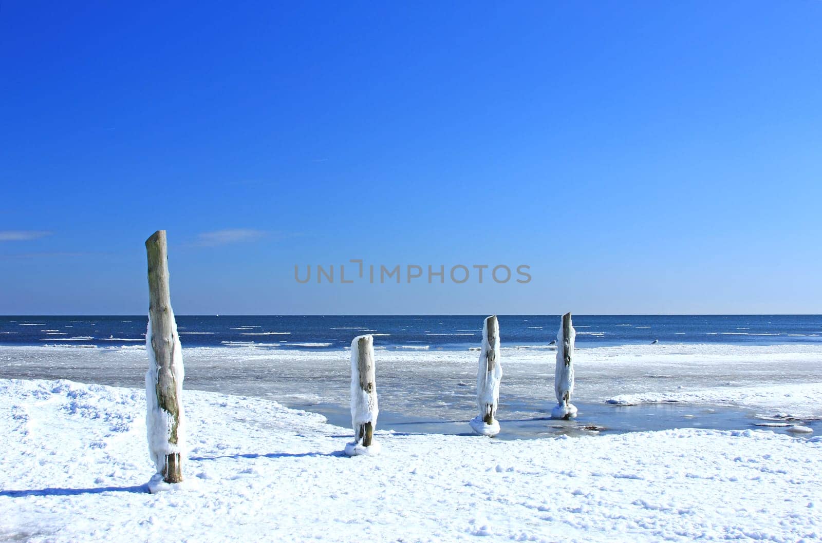 Winter on the Baltic Sea,near Prerow,Vorpommersche Boddenlandschaft National Park,Darss,Mecklenburg-Vorpommern,Germany