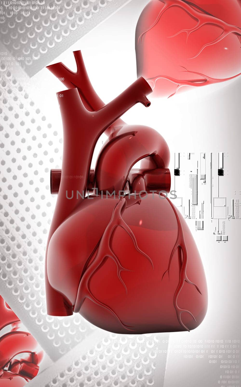 Digital illustration of heart in colour background