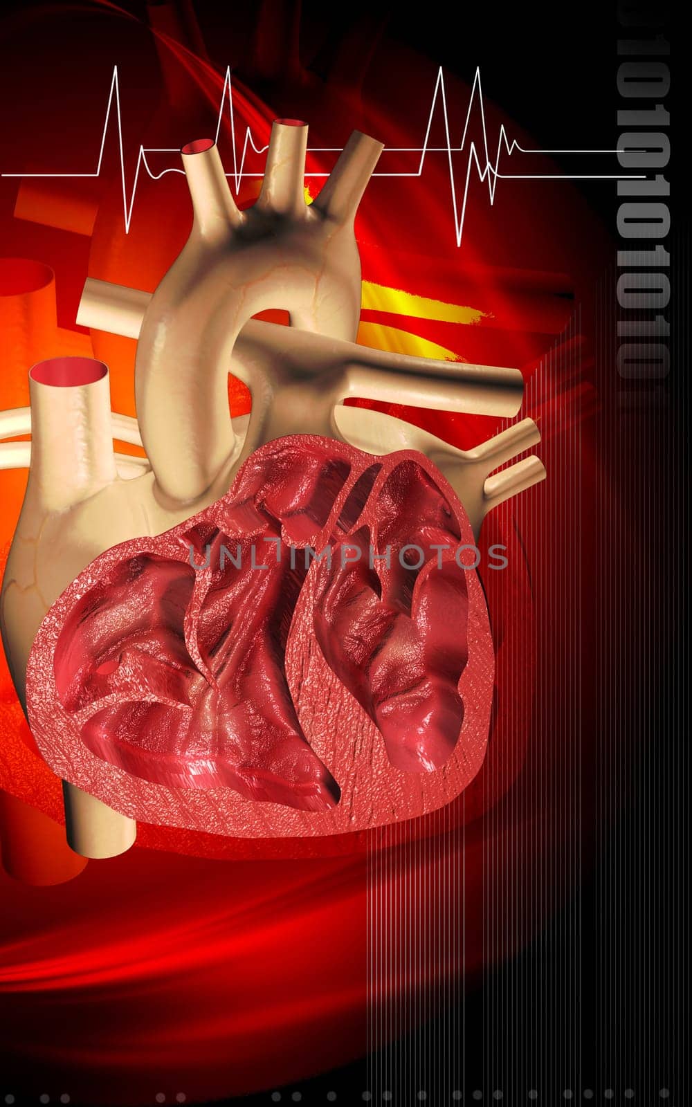 Digital illustration of heart in colour background