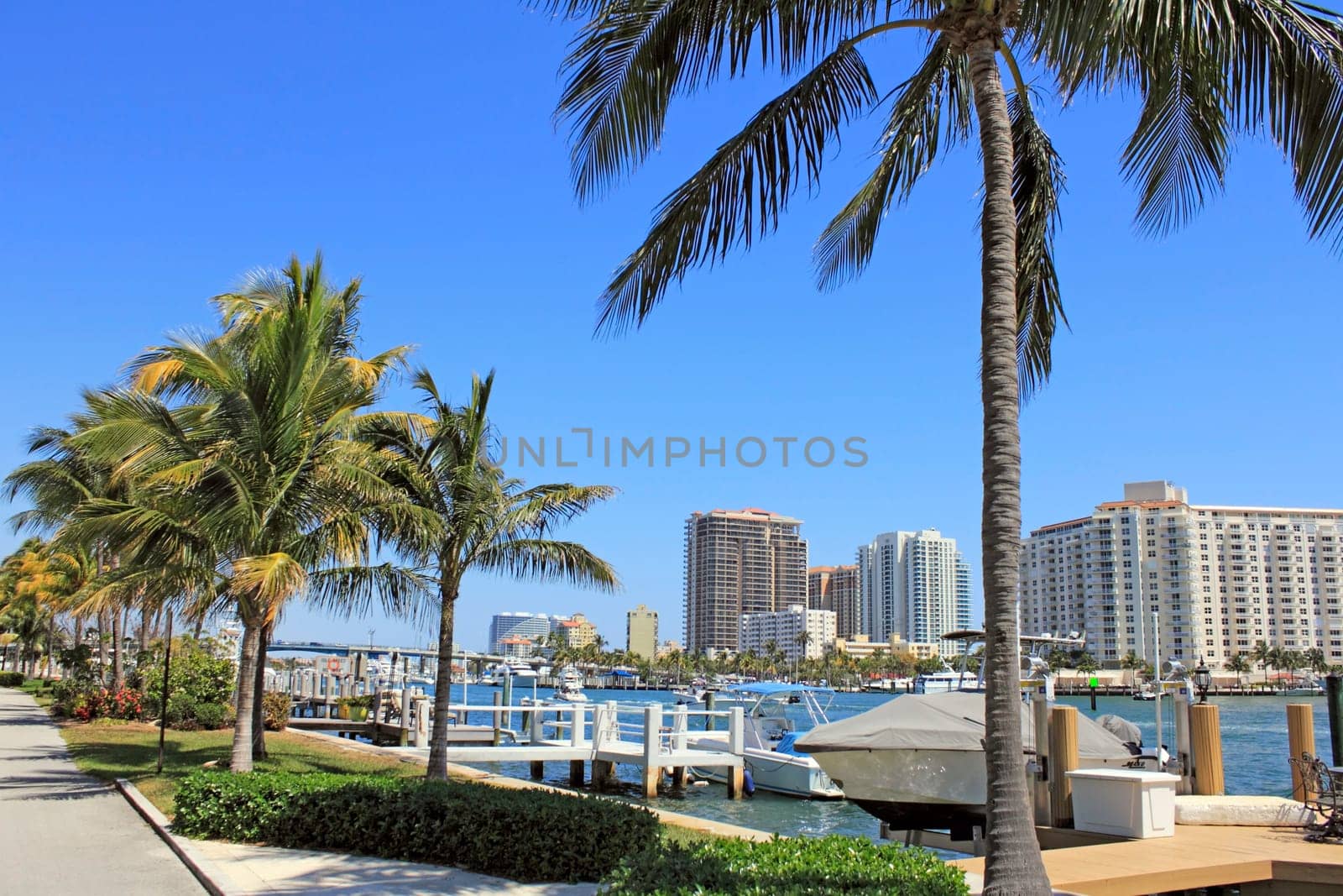 FORT LAUDERDALE, FLORIDA - MARCH 30, 2013: Beautiful view of boats on the Atlantic Intracoastal with modern buildings lining it’s banks along with tropical palm trees and foliage on a sunny day.