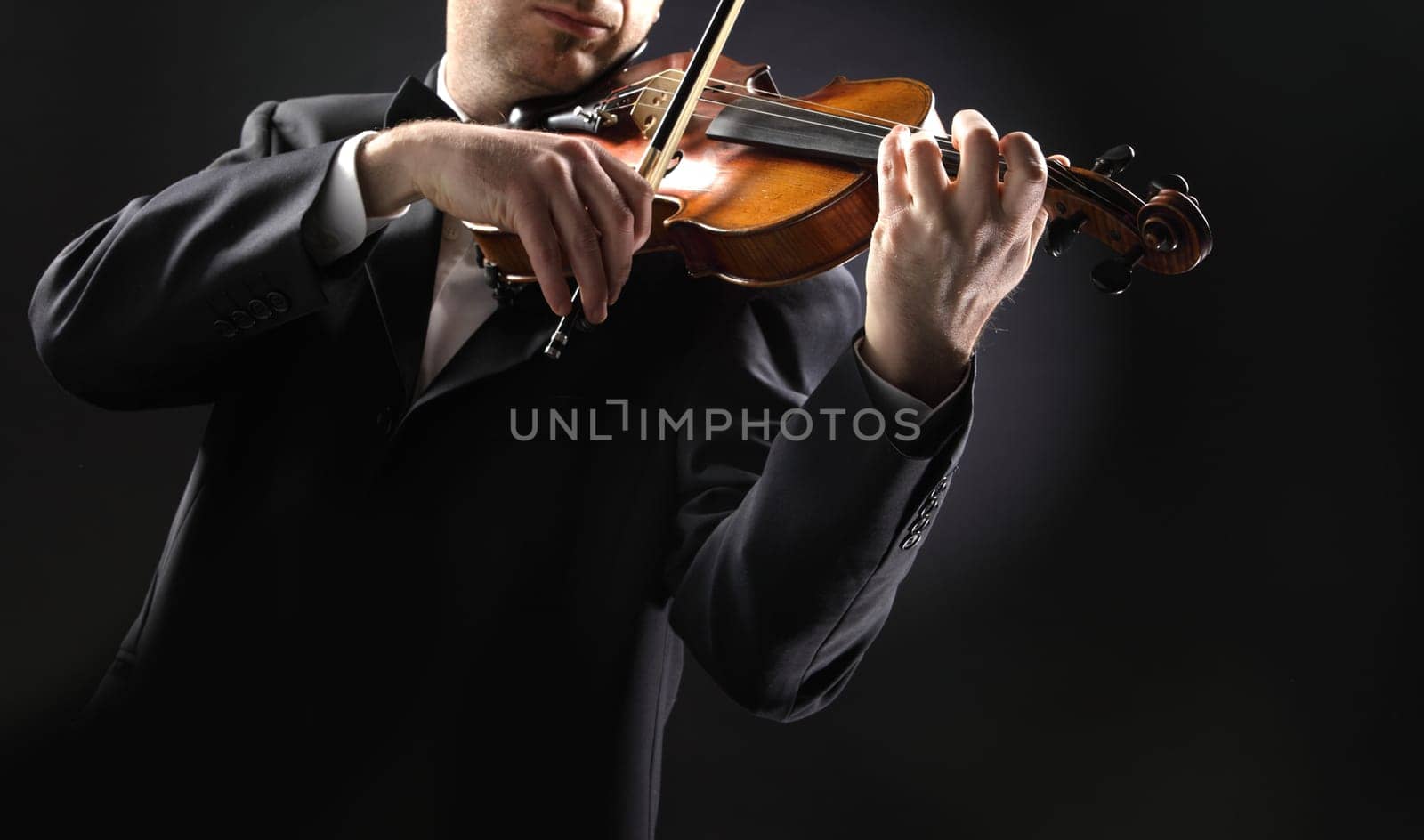 the violinist