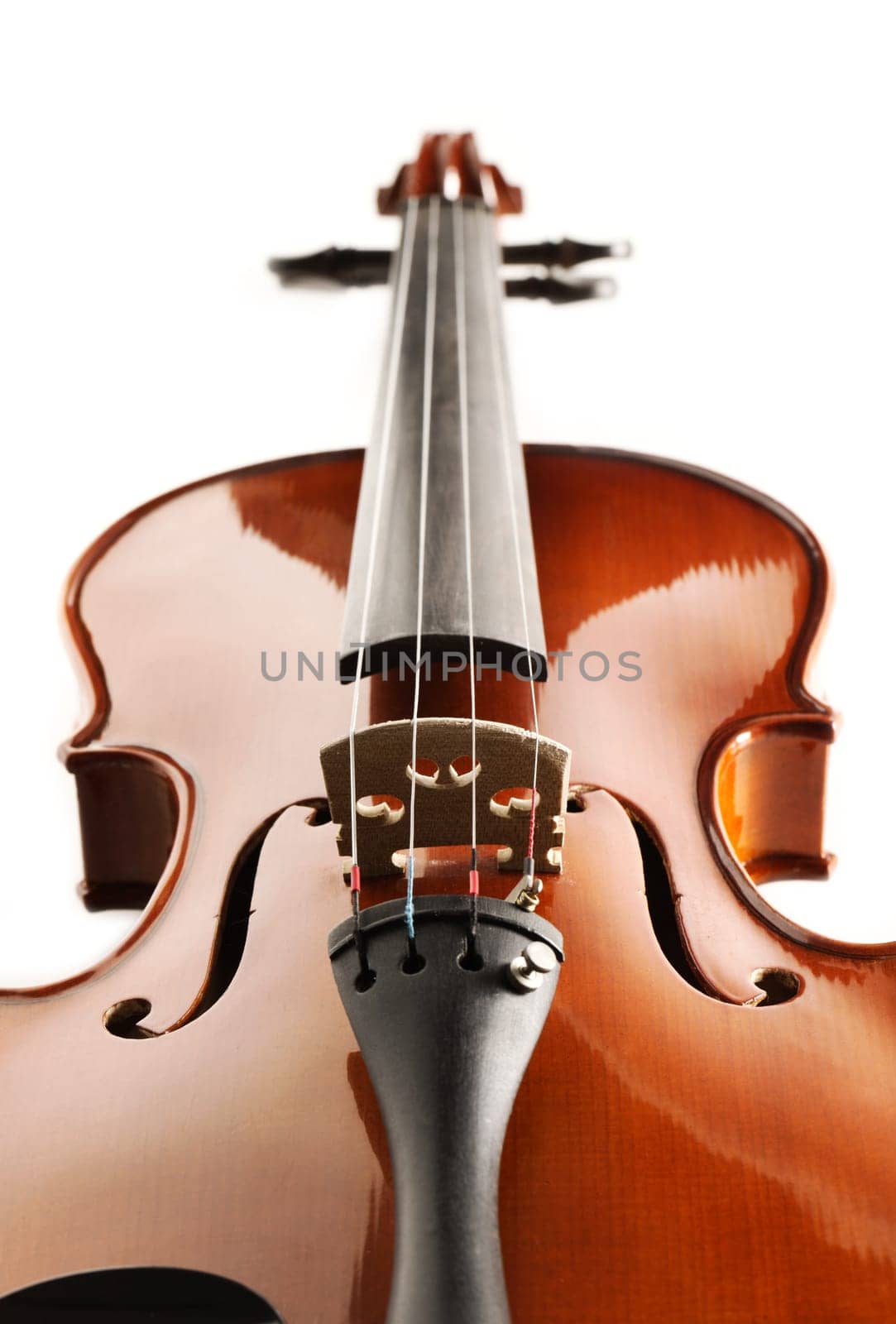 Elegant shot of a violin on white background
