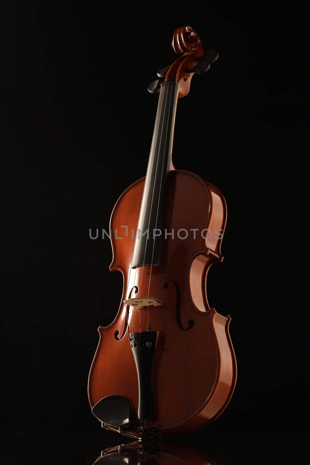 Elegant shot of a violin on black background