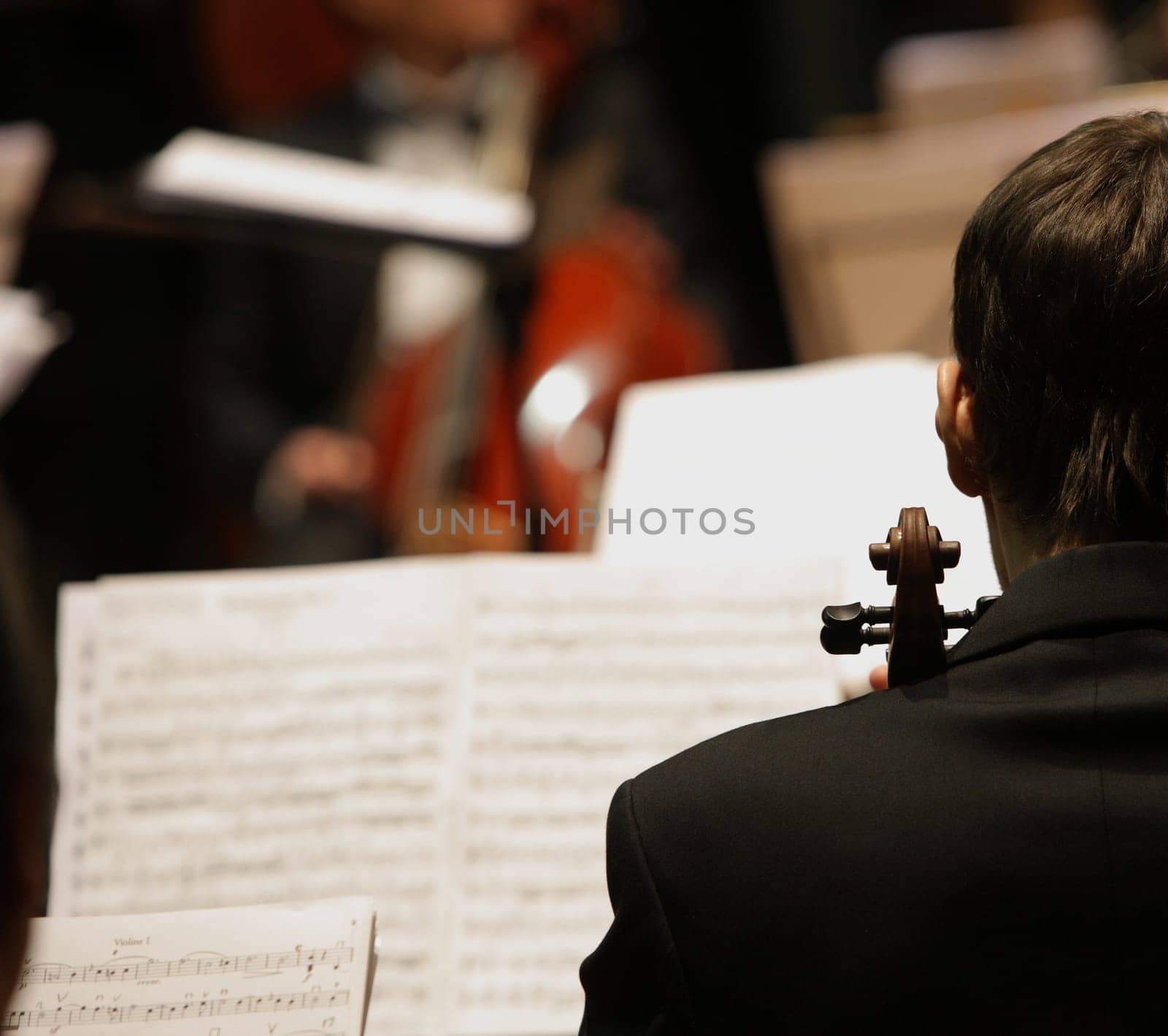 violinists during a classical concert music