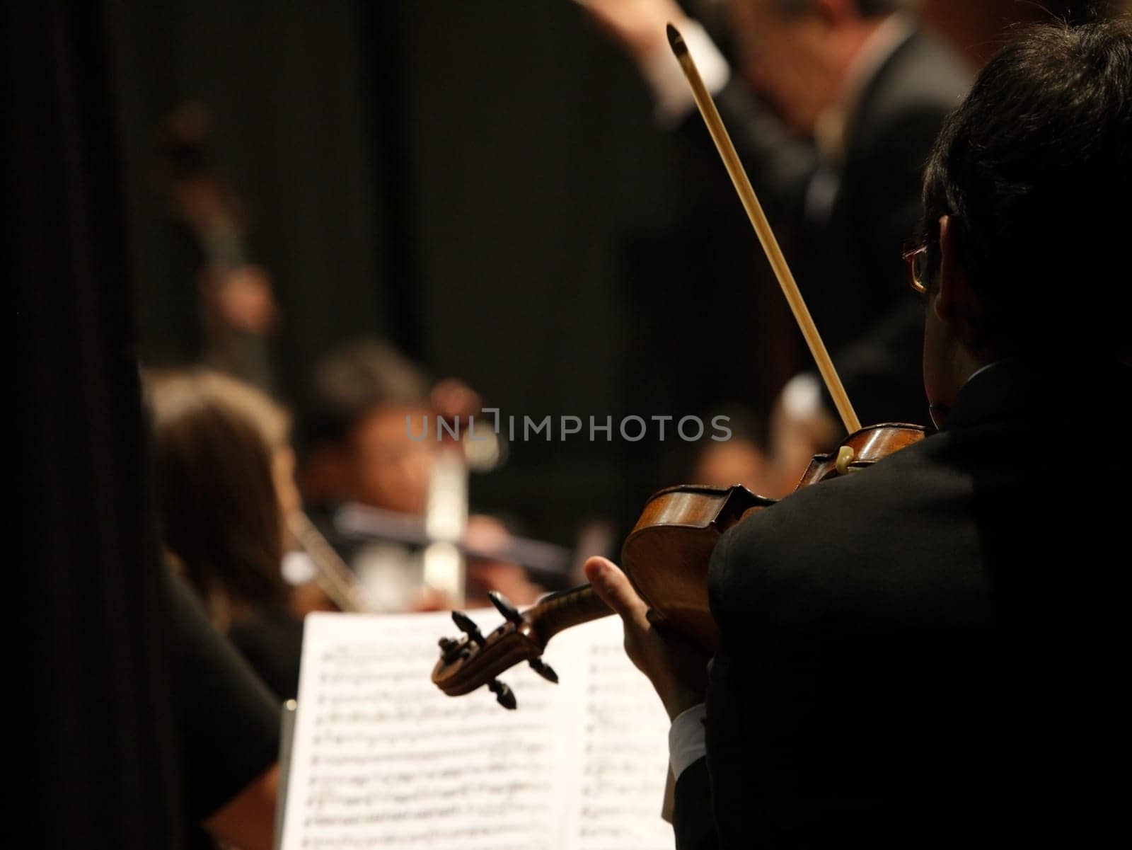 violinists during a classical concert music