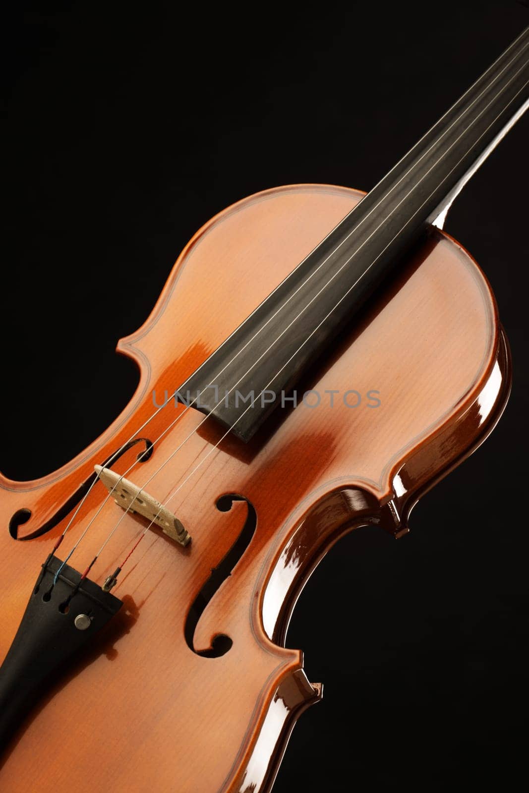 Elegant shot of a violin