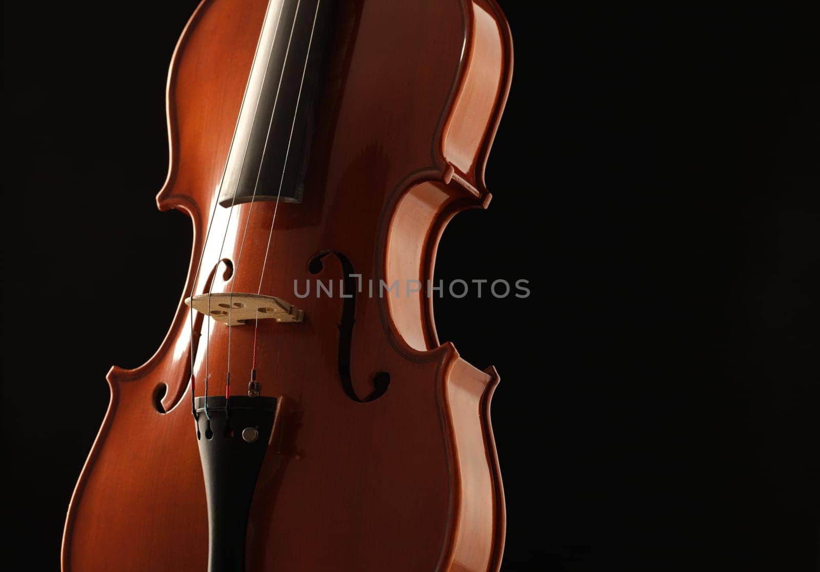 Elegant shot of a violin