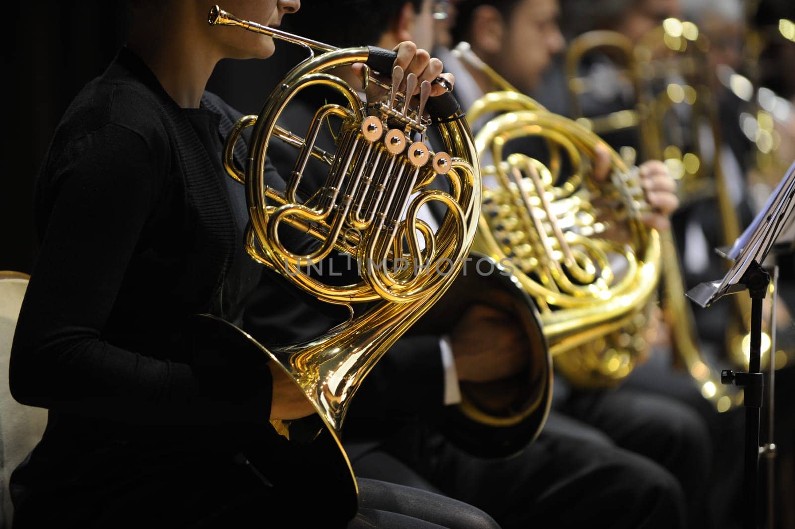 french horn during a classical concert music
