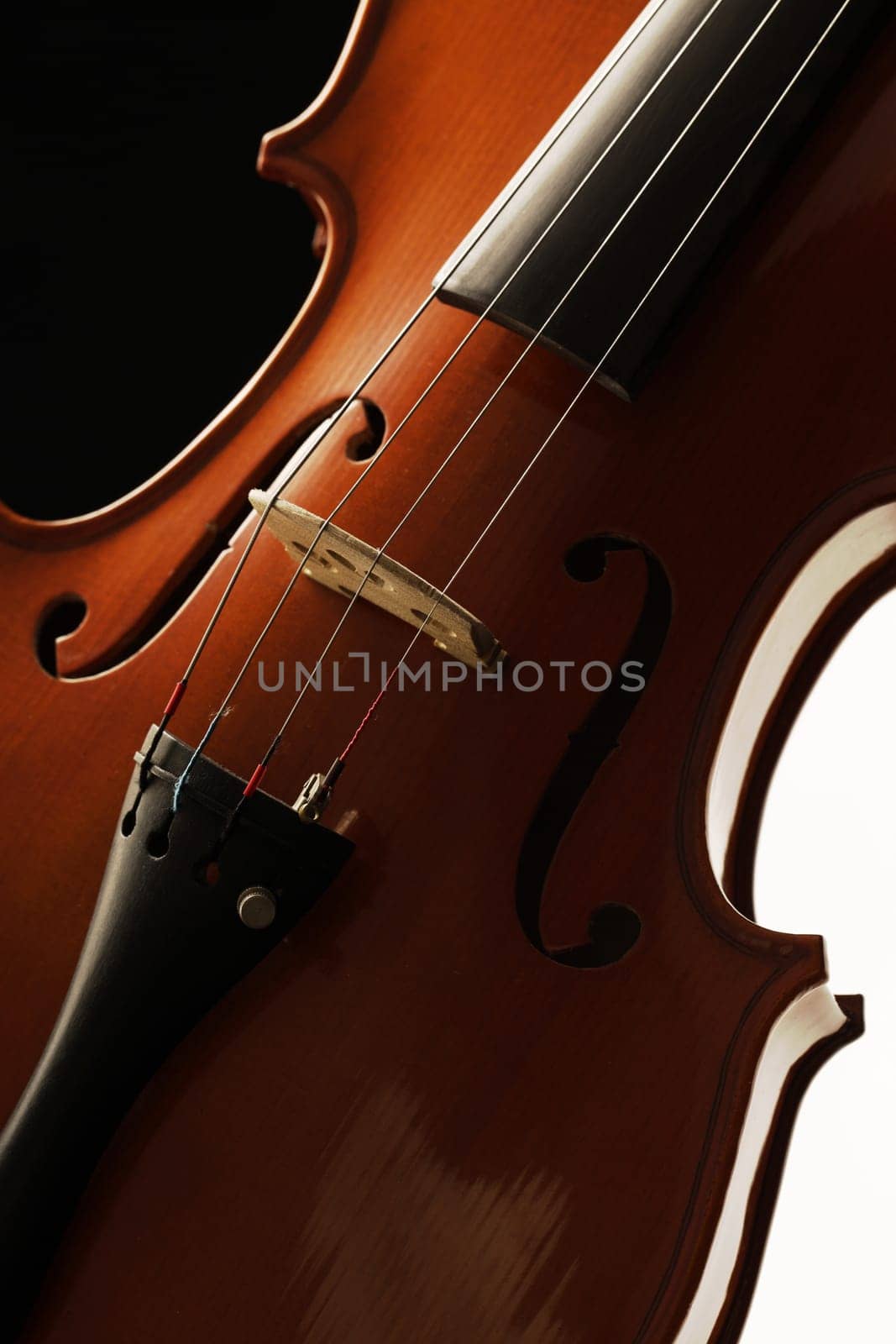Elegant shot of a violin