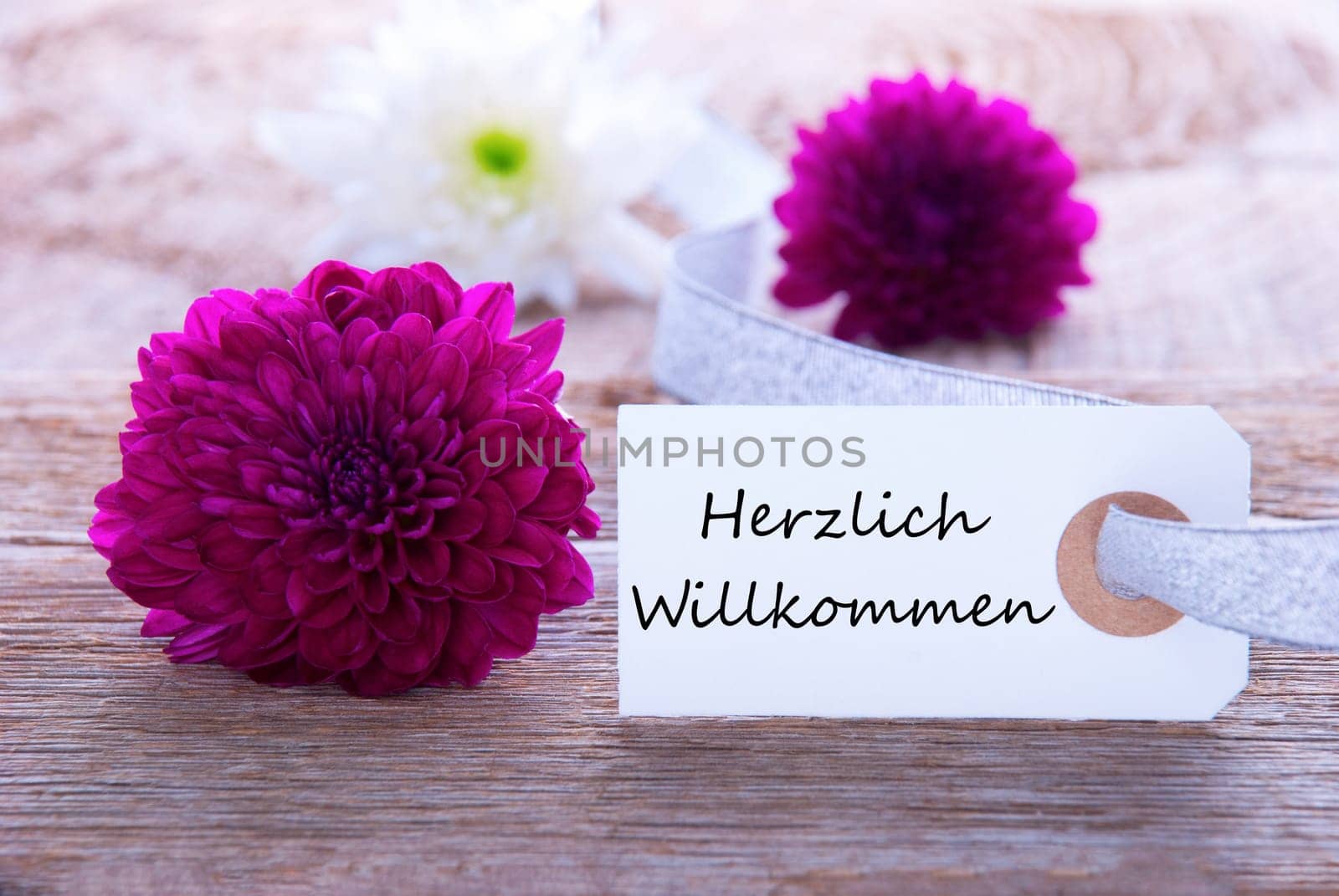 A Label with the German Words Herzlich Willkommen which means Welcome and Purple Flowers