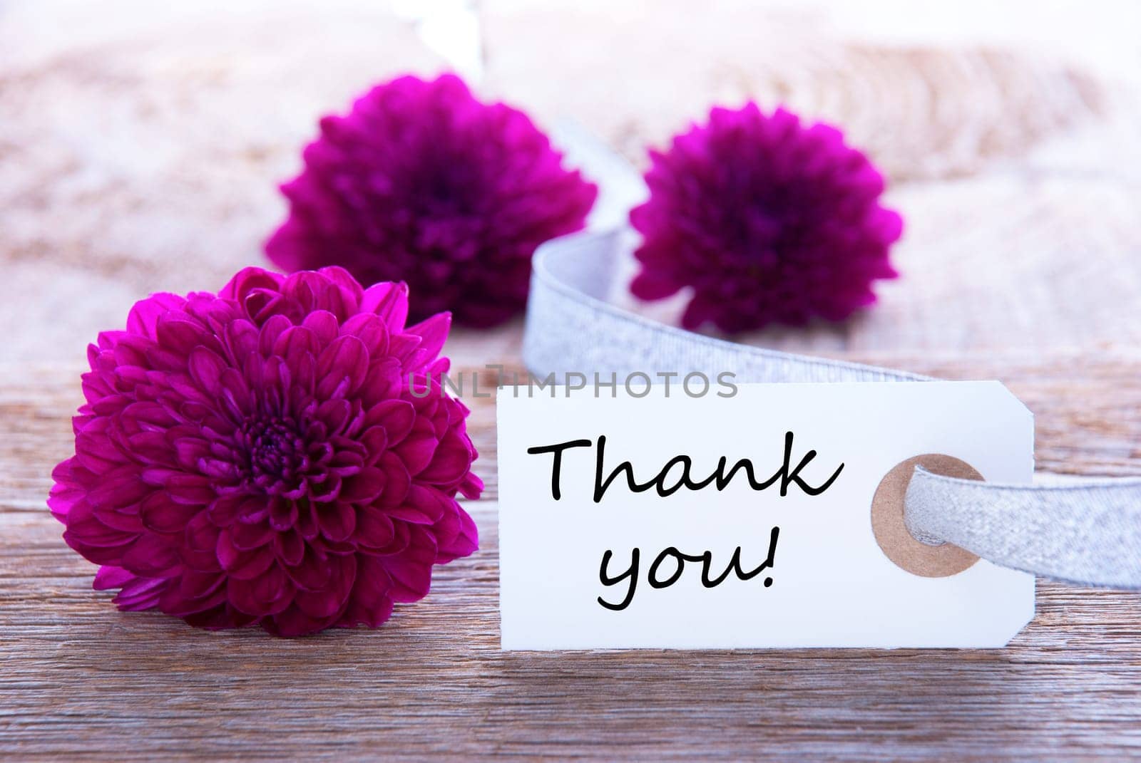 A Purple Flower Background with a Label with Thank You on it