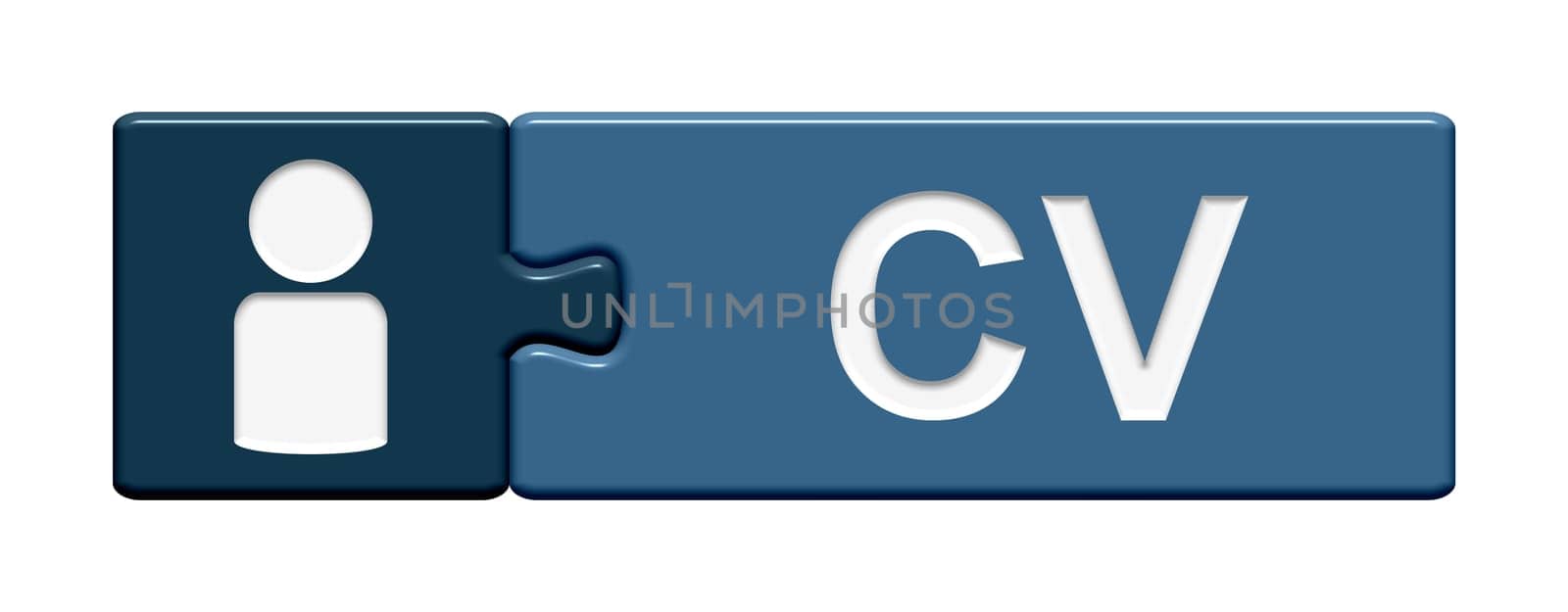 Puzzle Button: Curriculum Vitae