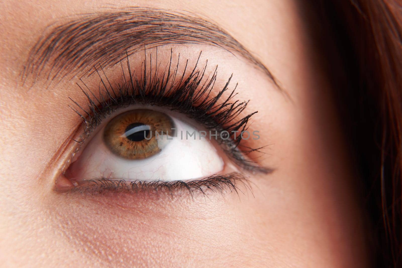 close up of womans brown eye with false eye lashes