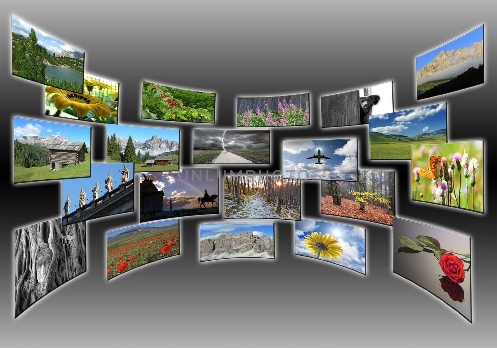 pictures collage on wide screen
