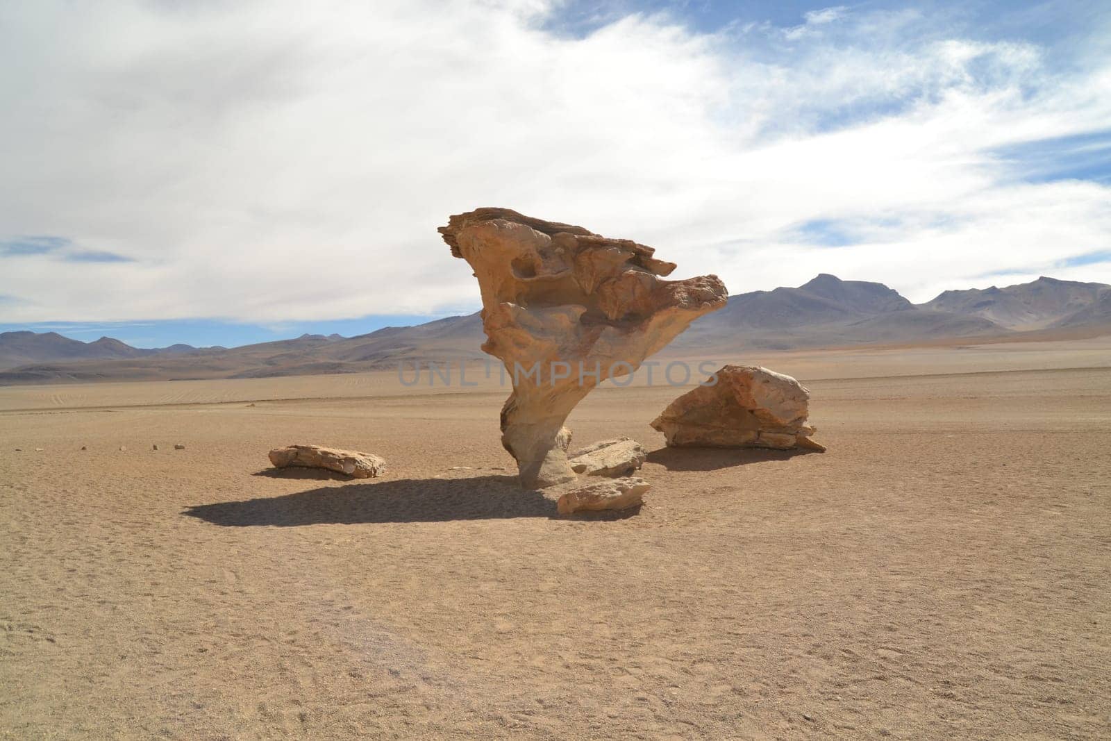 Stone tree rock formation -in the Bolivian desert - Arbol de piedra, Bolivia