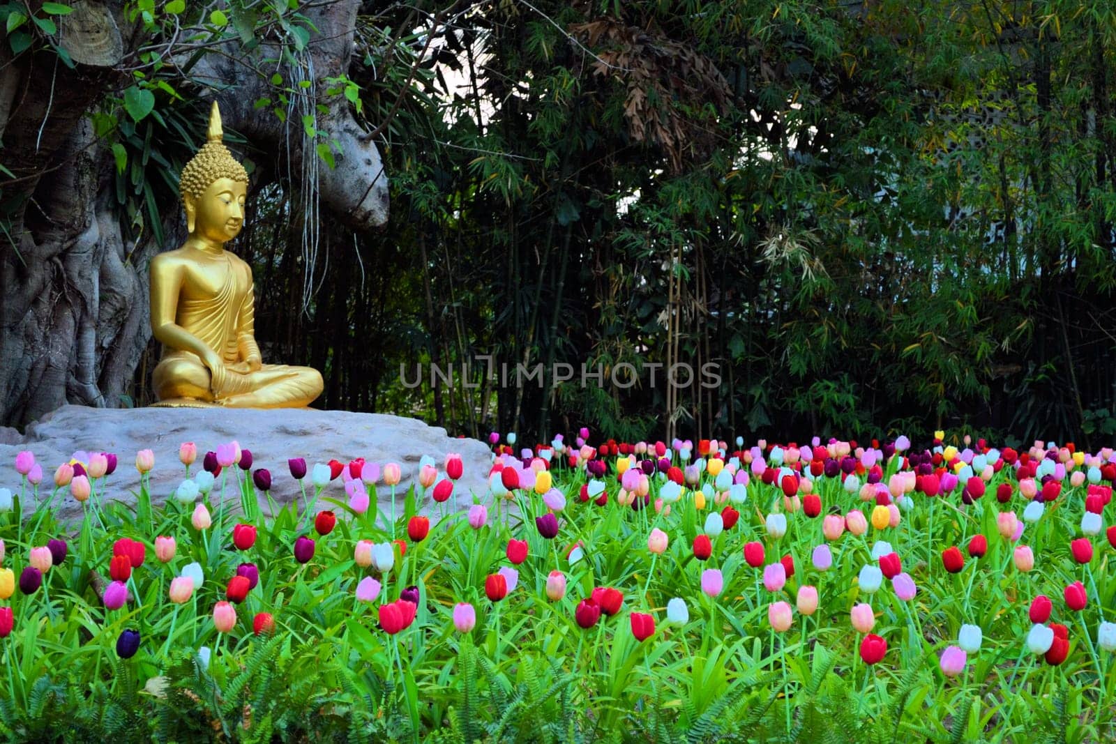 Buddha meditating in a field of tulips under a bodhi tree