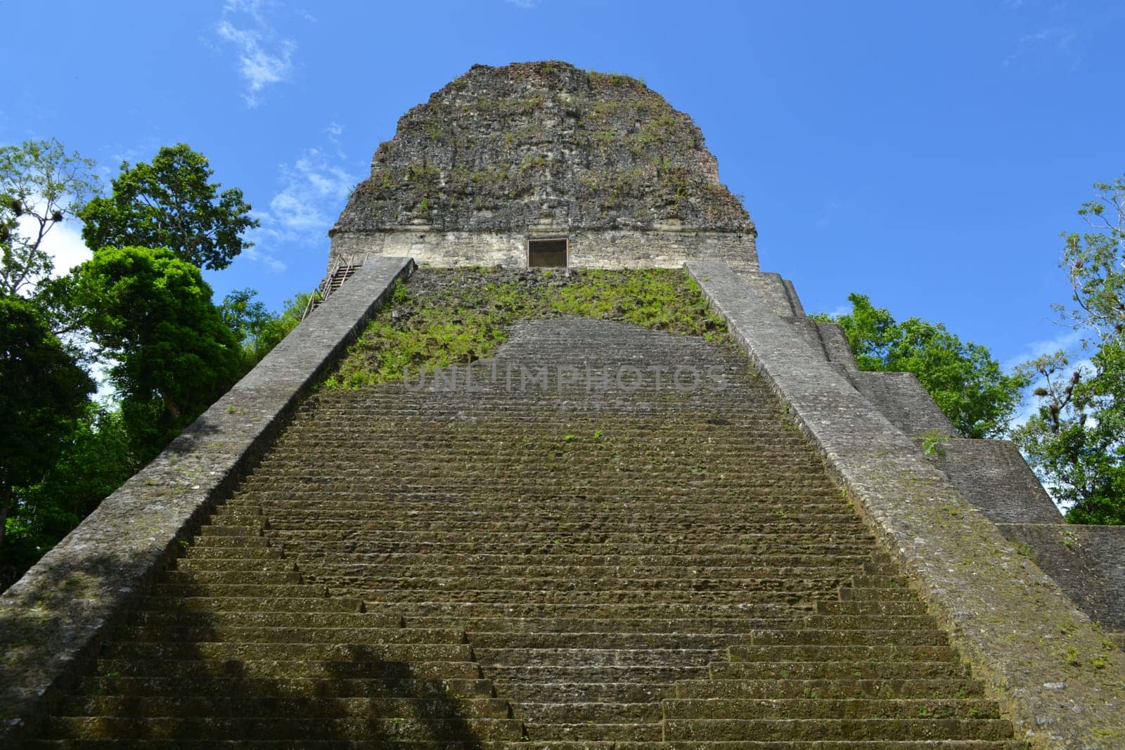 Temple of the Mayan culture in Tikal, Guatemala (Temple No. 5)