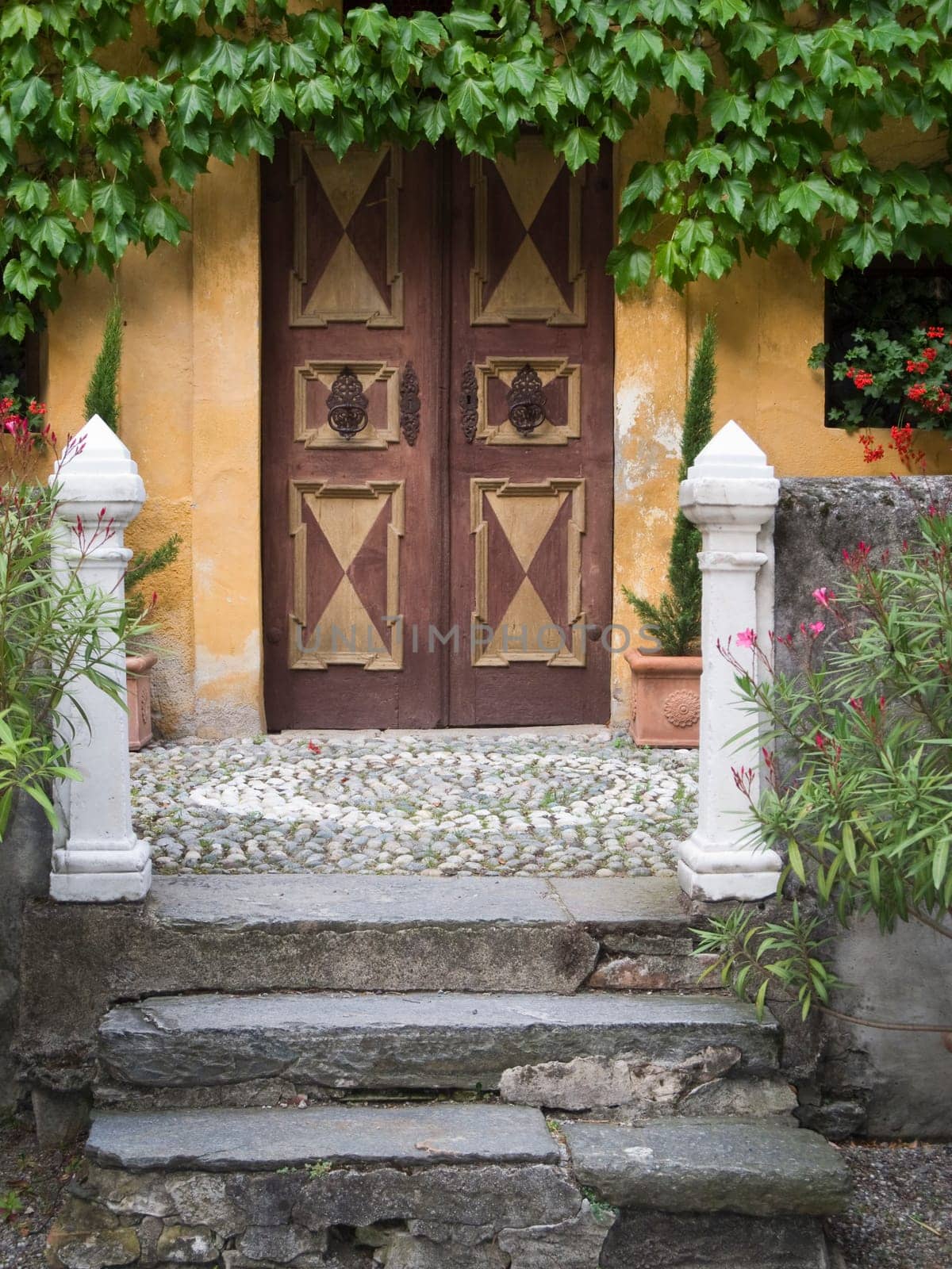 Frontal view of an old idyllic cassette door framed by green plants with a defective stone staircase in front of it