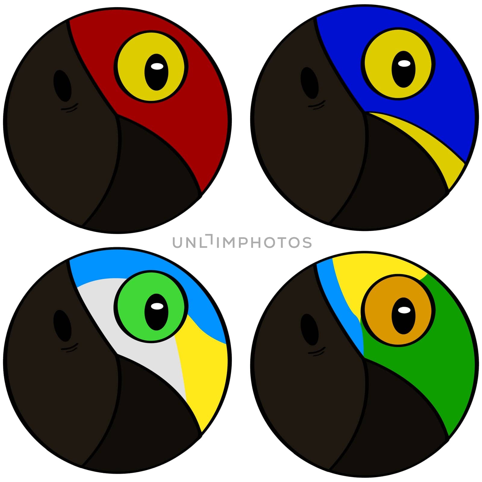 Round icons showing stylized representation of macaw bird heads