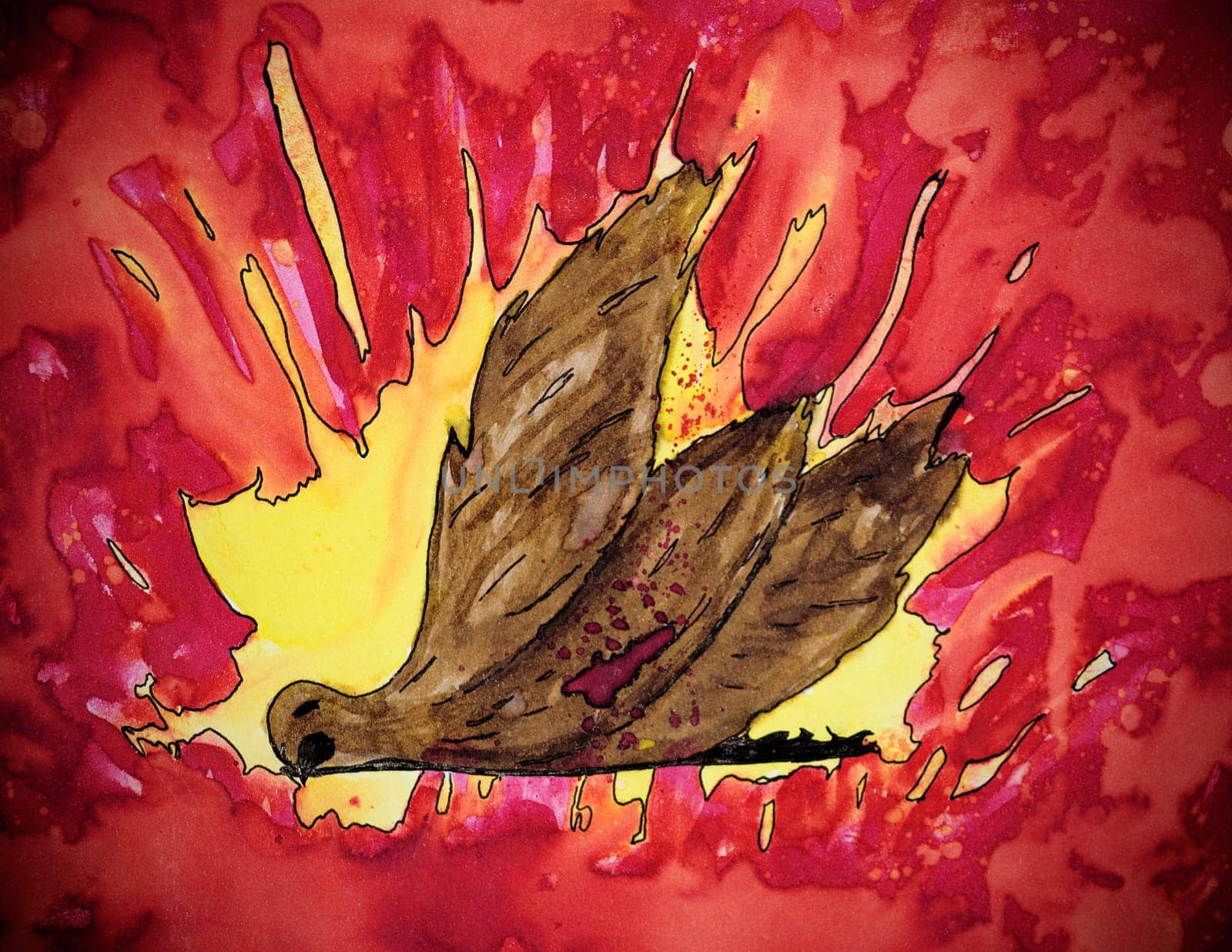 bird falls after being hit handmade illustration