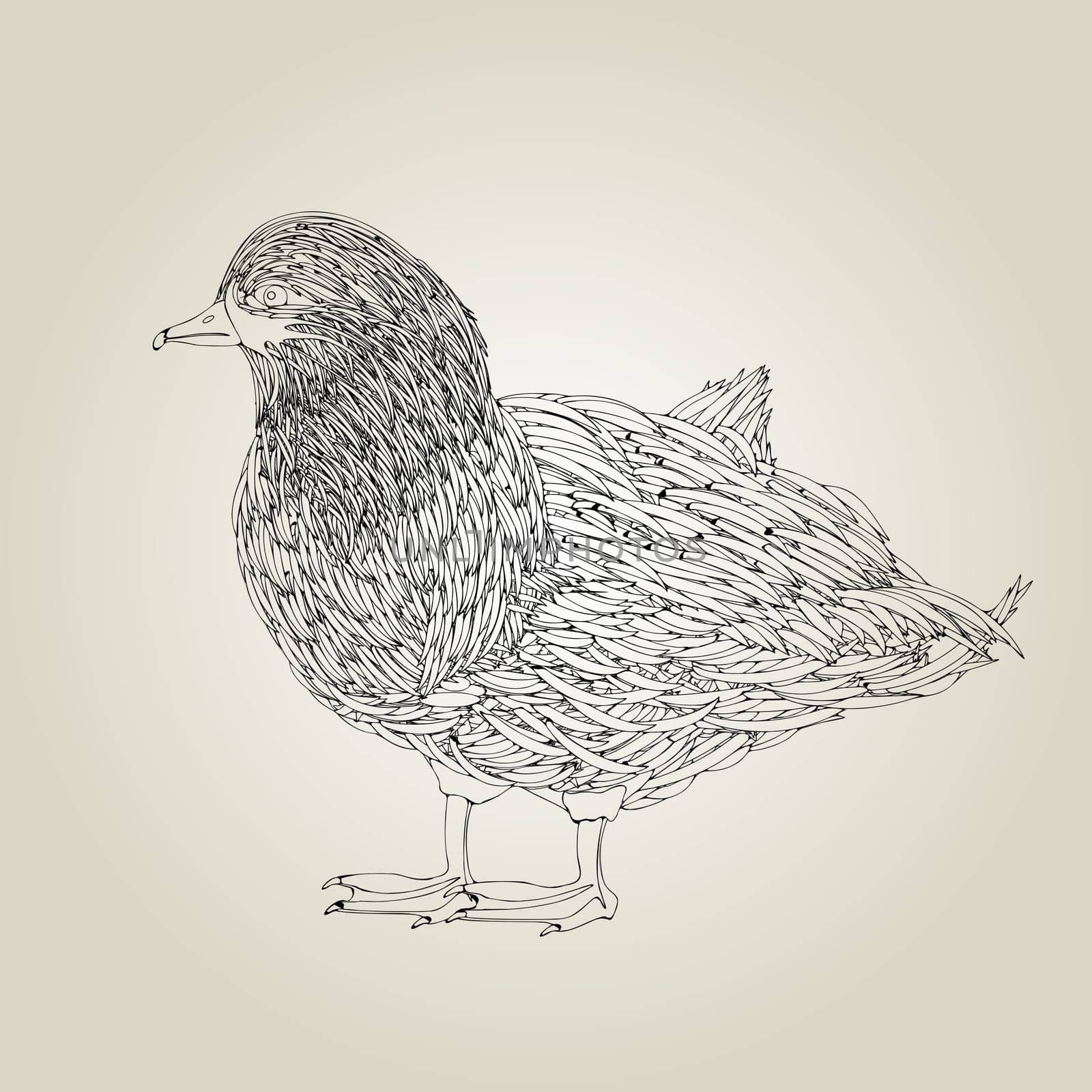Hand drawing grunge sketch of a little duck