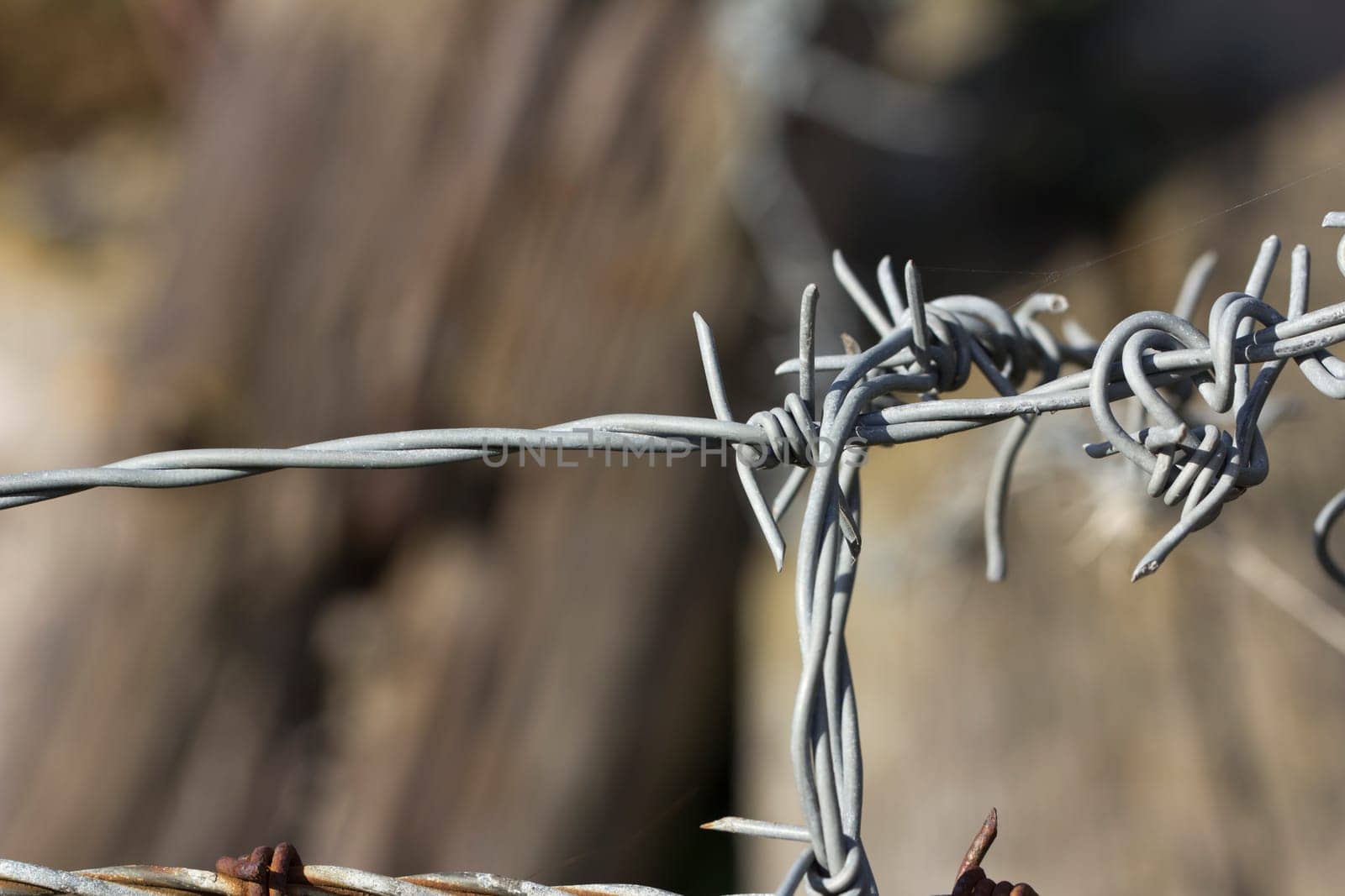 A twist on a barb wire fence