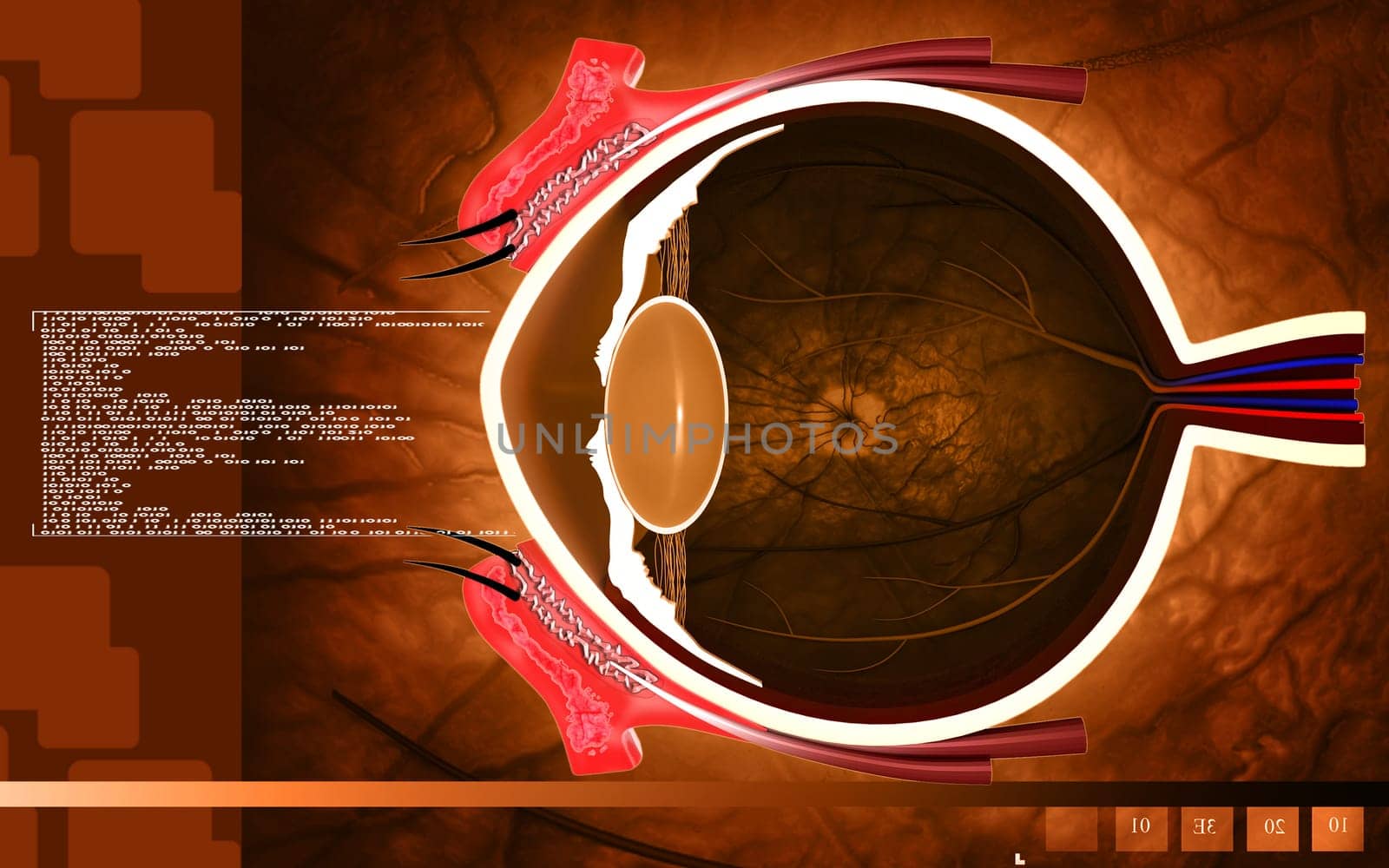 Digital illustration of eye in colour background