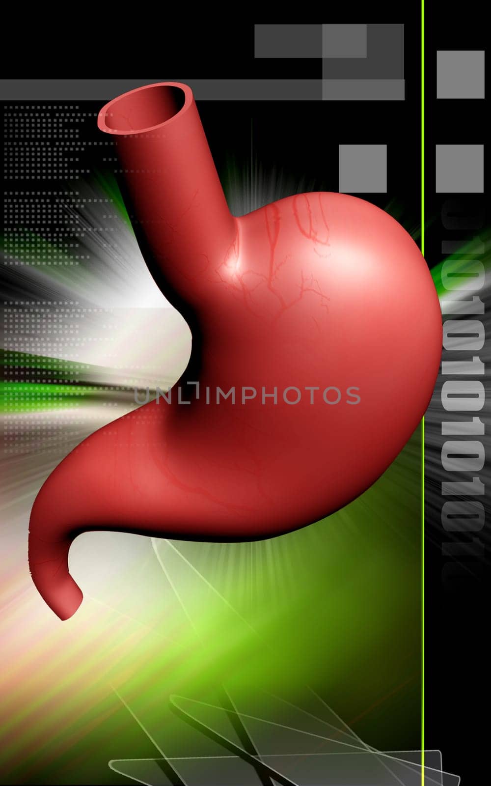 Digital illustration of stomach in colour background