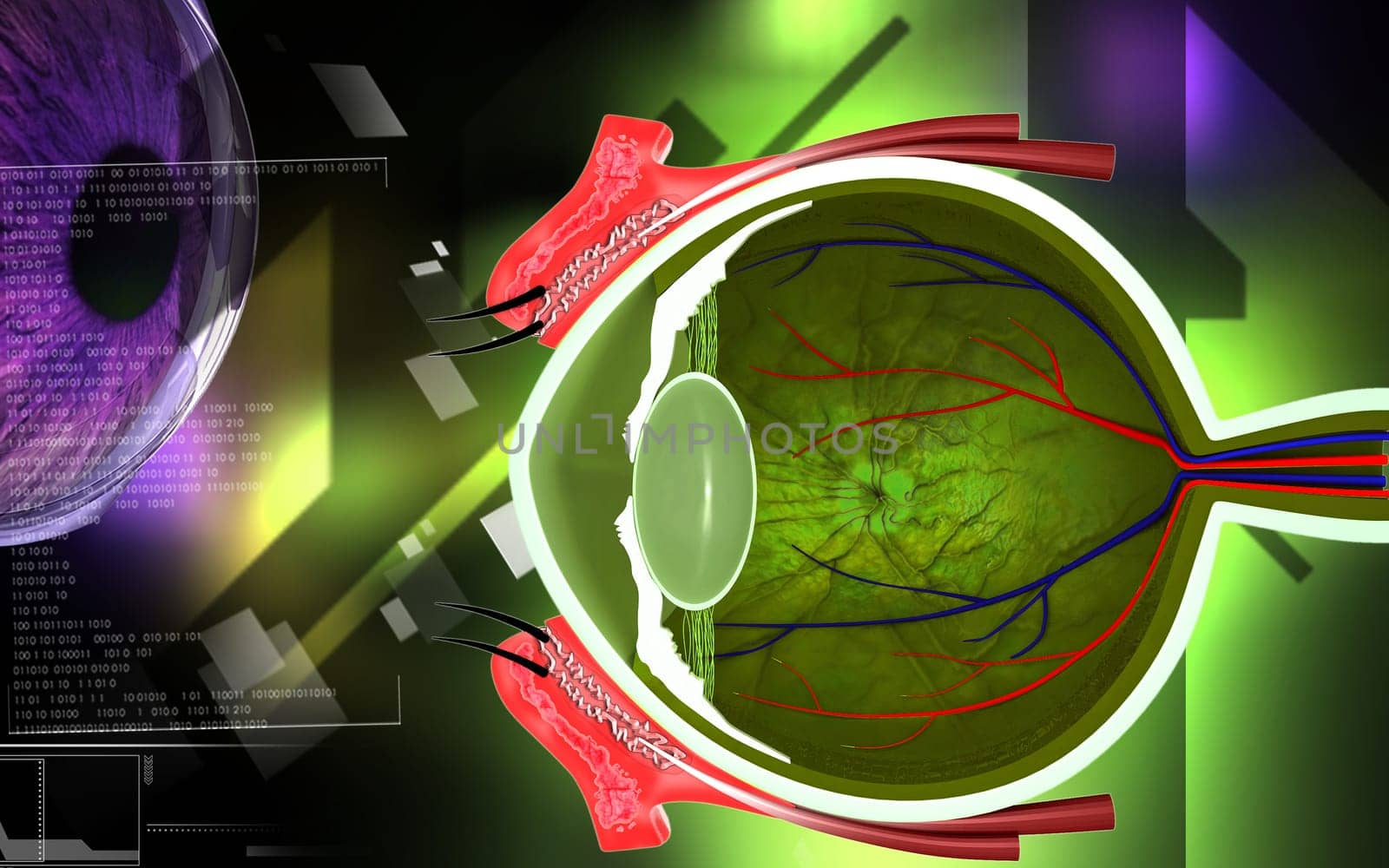 Digital illustration of eye in colour background