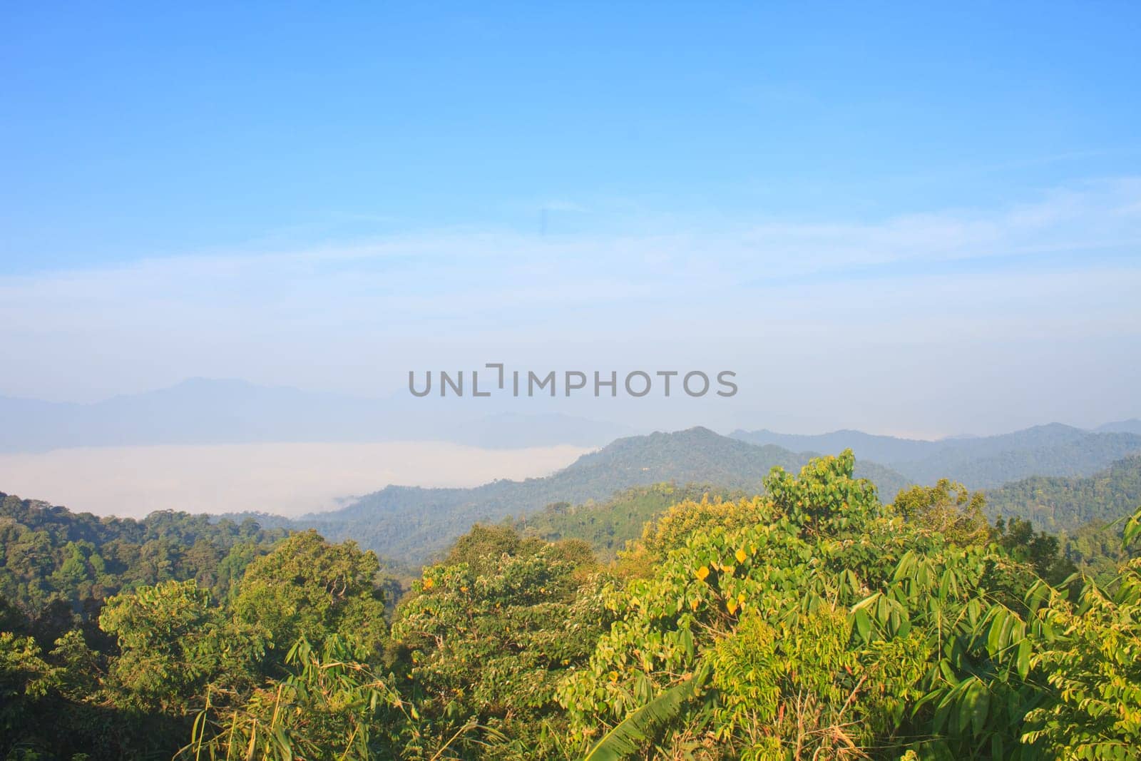 sea of fog with forests as foreground. This place is in the Kaeng Krachan national park, Thailand