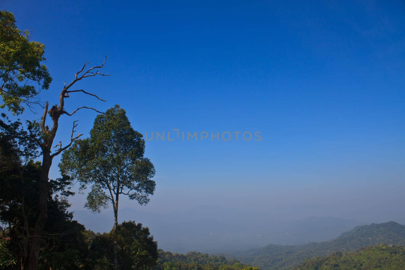 Views of the valley in the national park