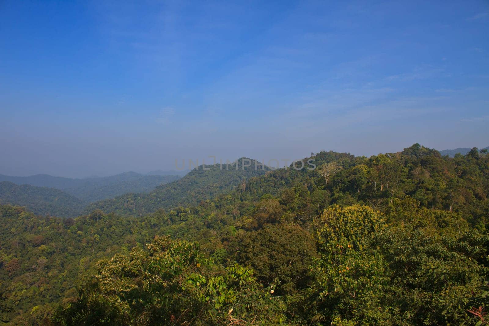 Views of the valley in the national park