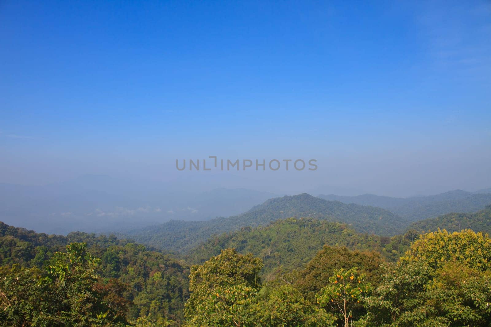 Views of the valley in the national park