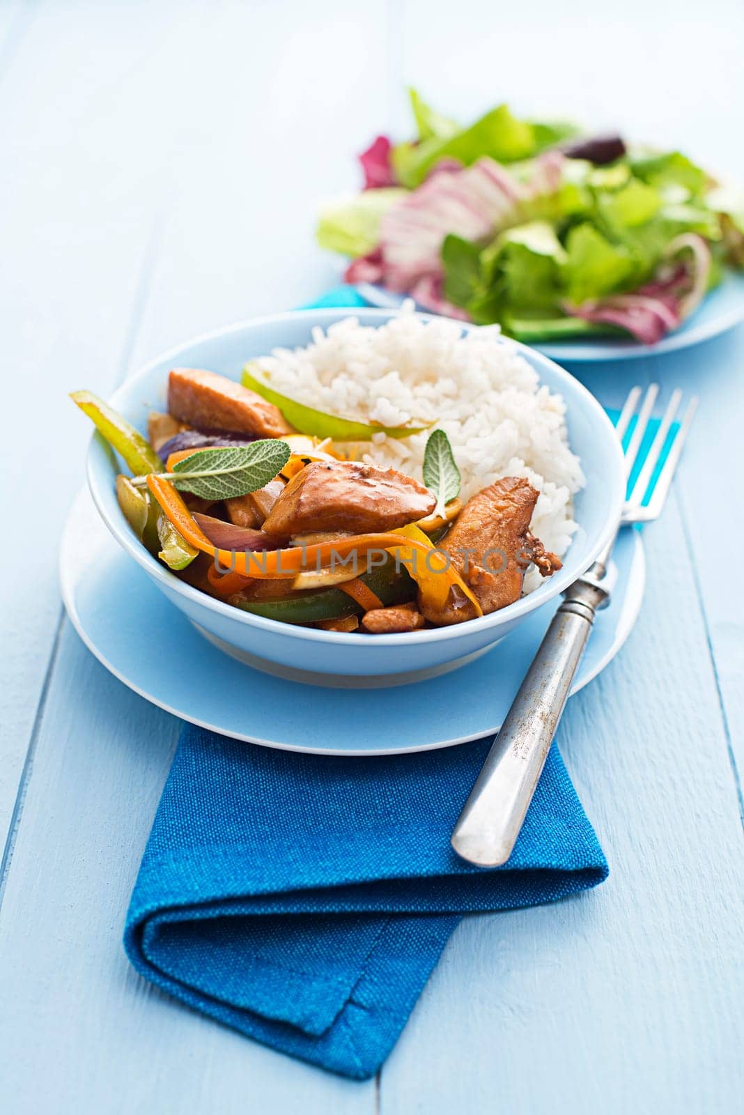Fresh chicken with vegetables and rice close up shoot