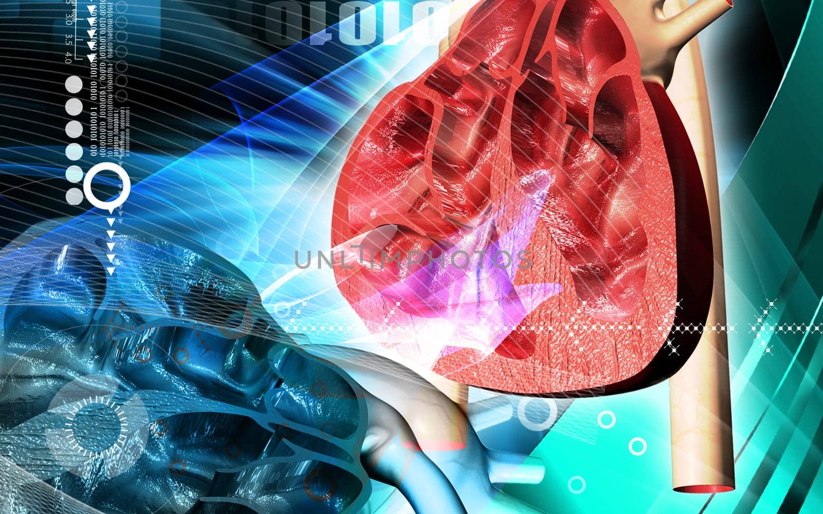 Digital illustration of heart in colour background