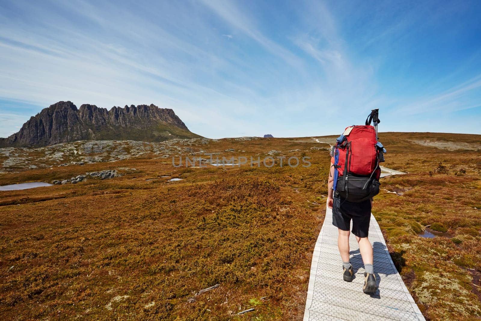 Female hiker on the Overland Trail, Cradle Mountain, Tasmania