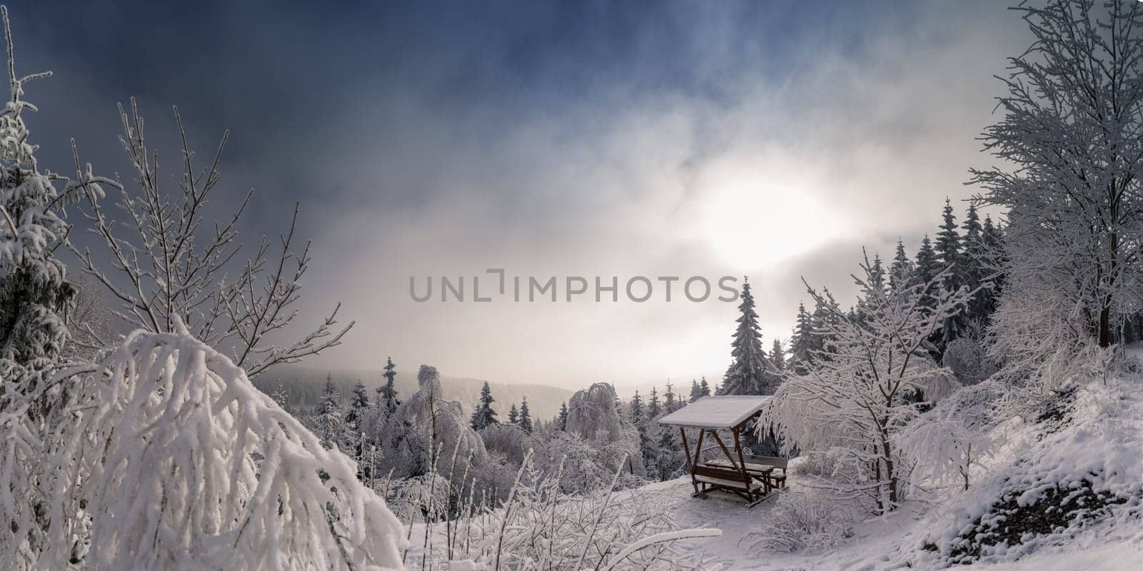 Rennsteig in winter
