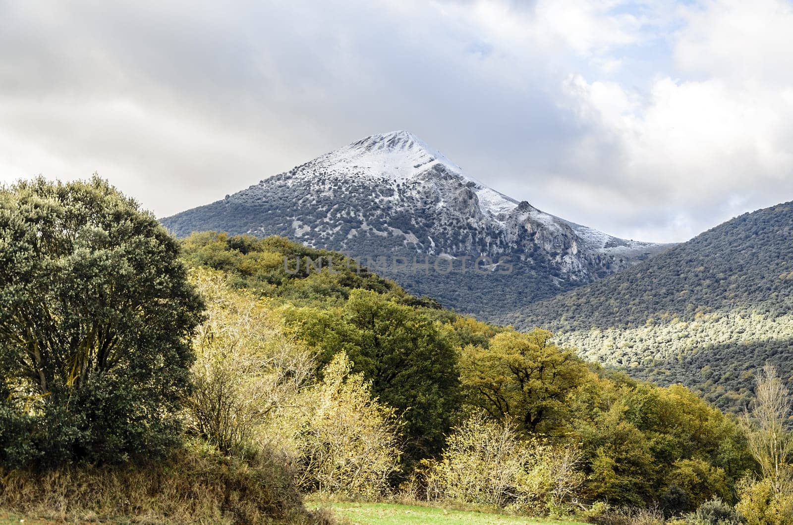 Beautiful look at the mountain, in wither, covered with snow