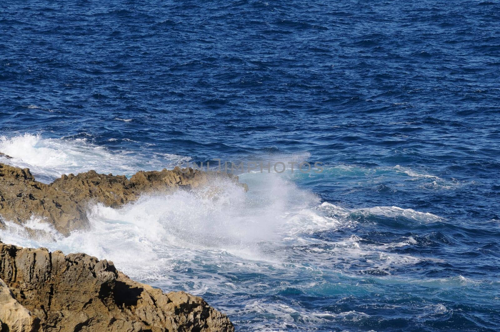 Gozo