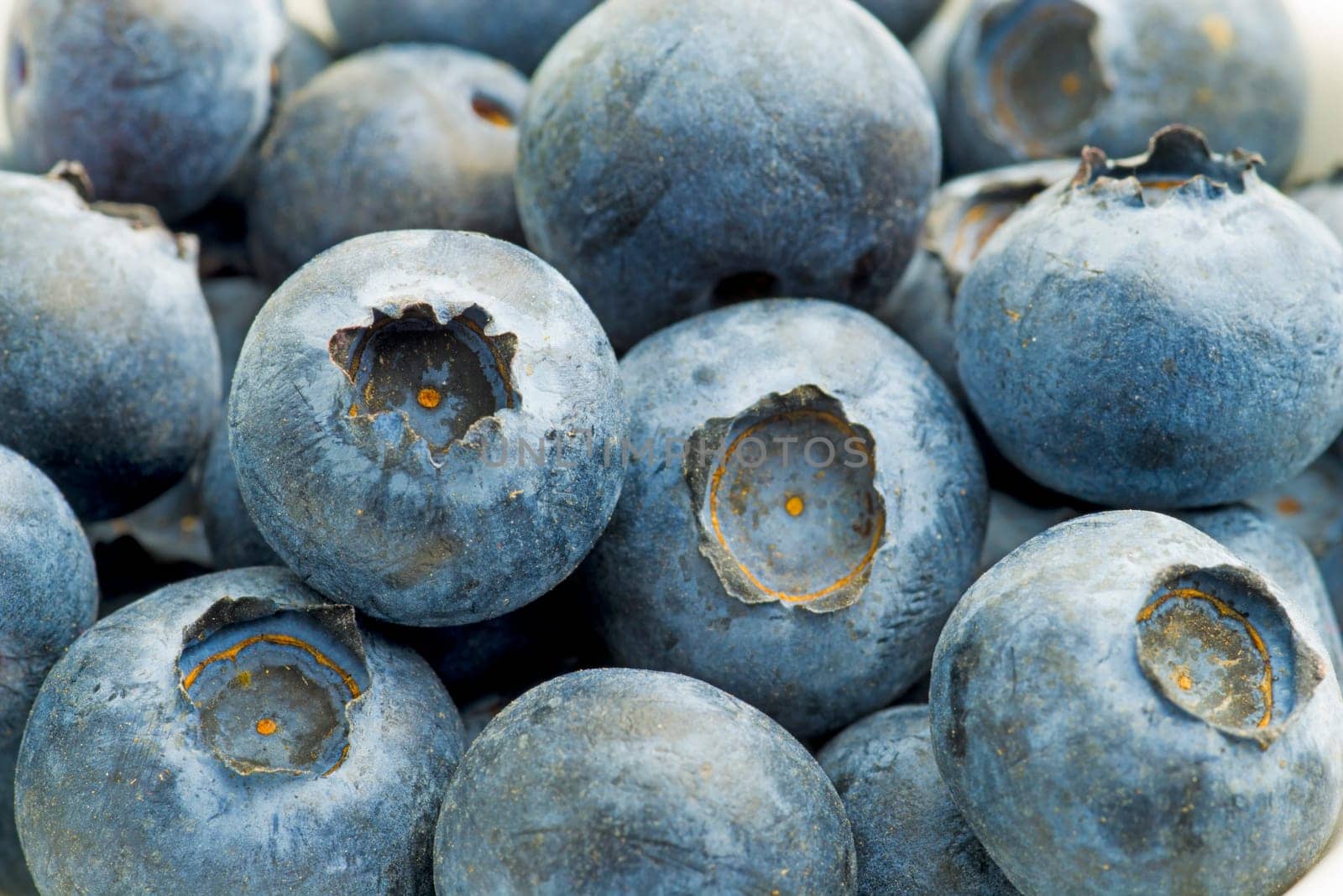 Blauberen