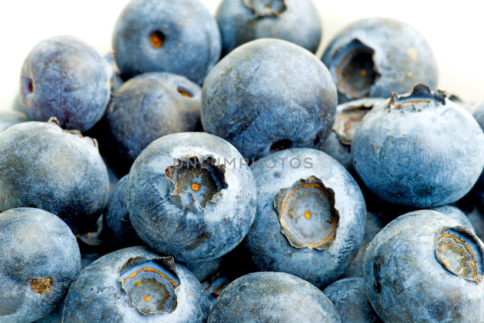 Blauberen