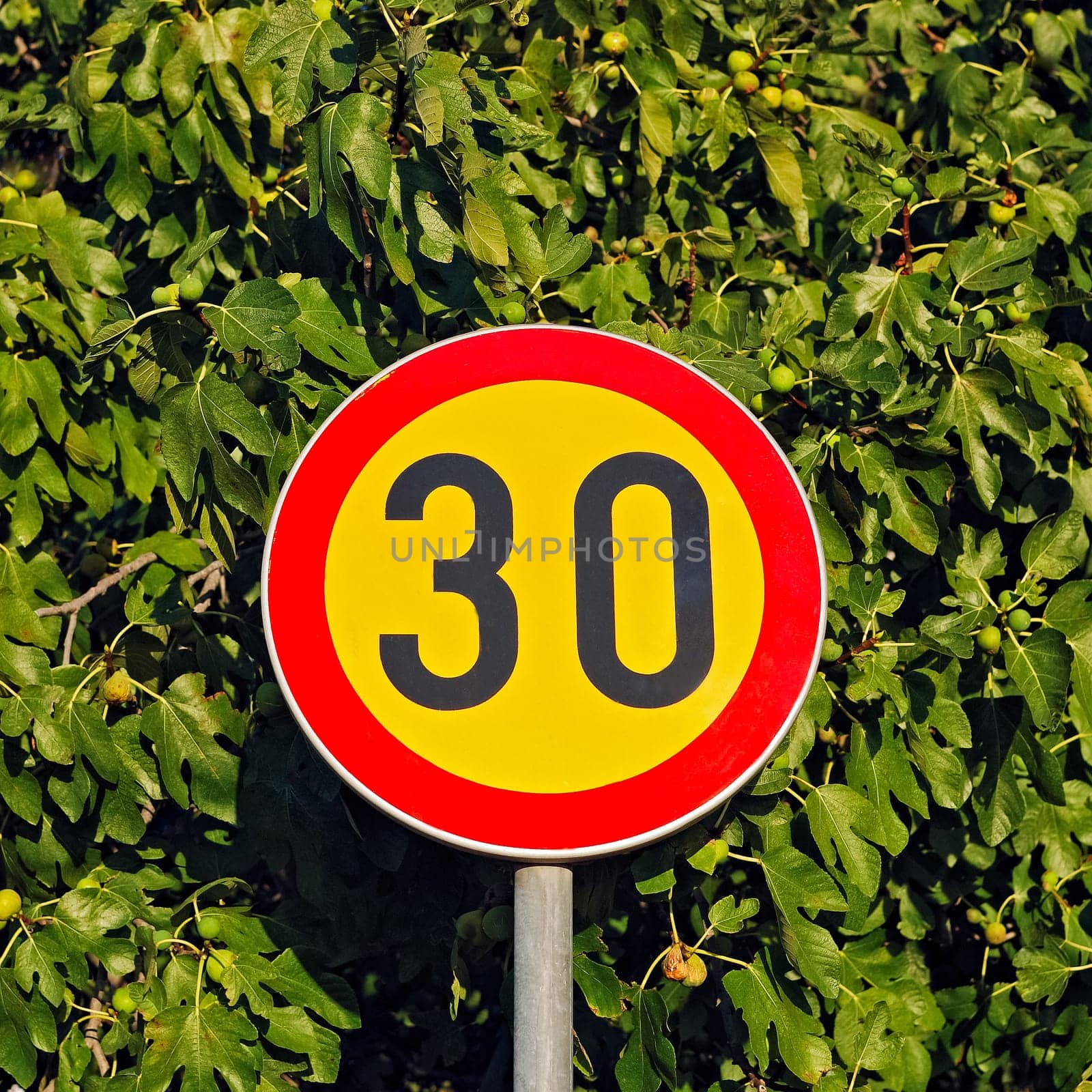 Road signs 30 km/h zone